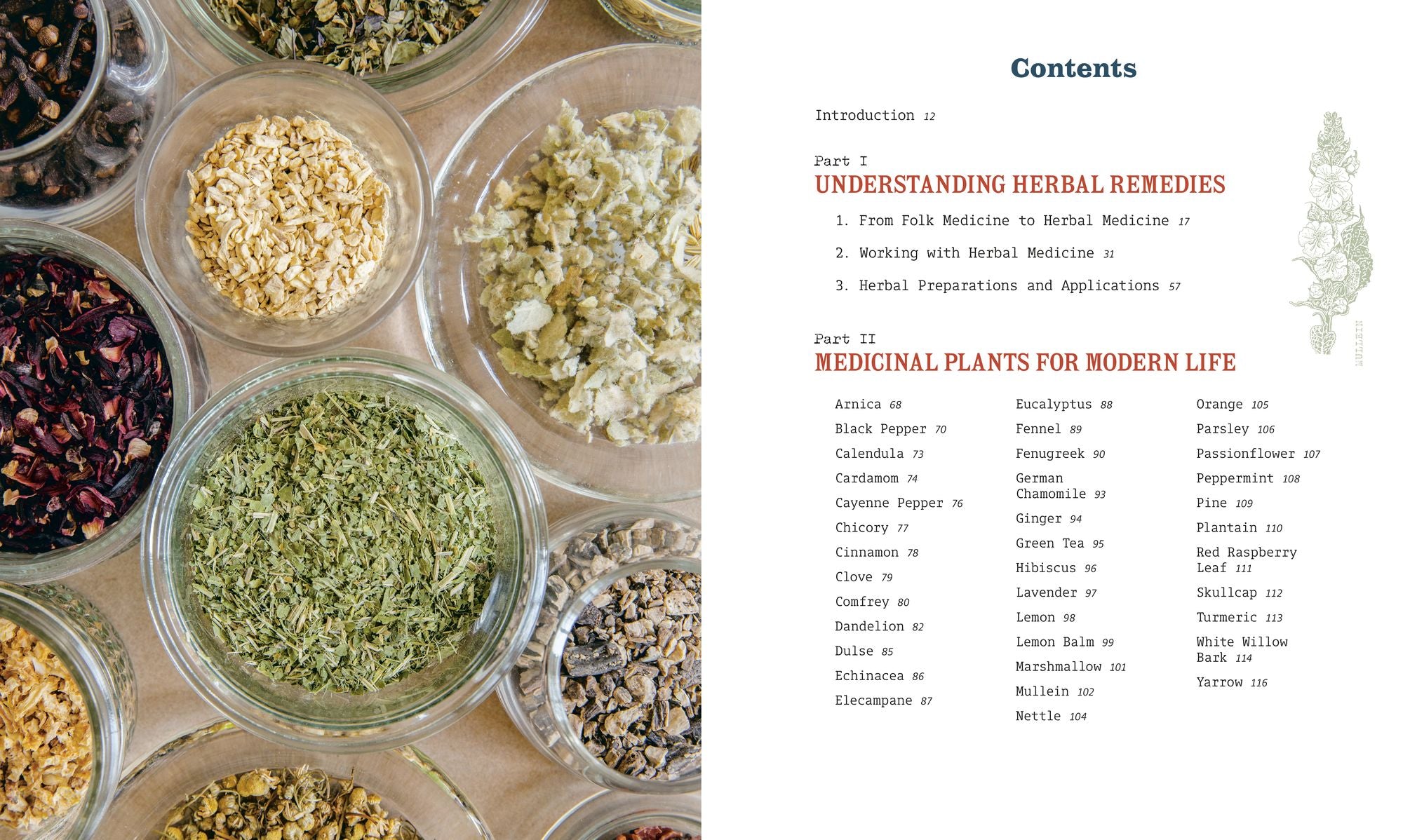 Herbal Medicine for Modern Life: Traditional Folk Remedies for Everyday Health and Well-Being