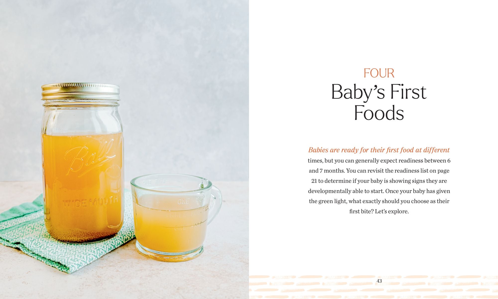 Brain Food for Your Baby: An Organic Baby Food Cookbook and Nutrition Guide for Gut Health
