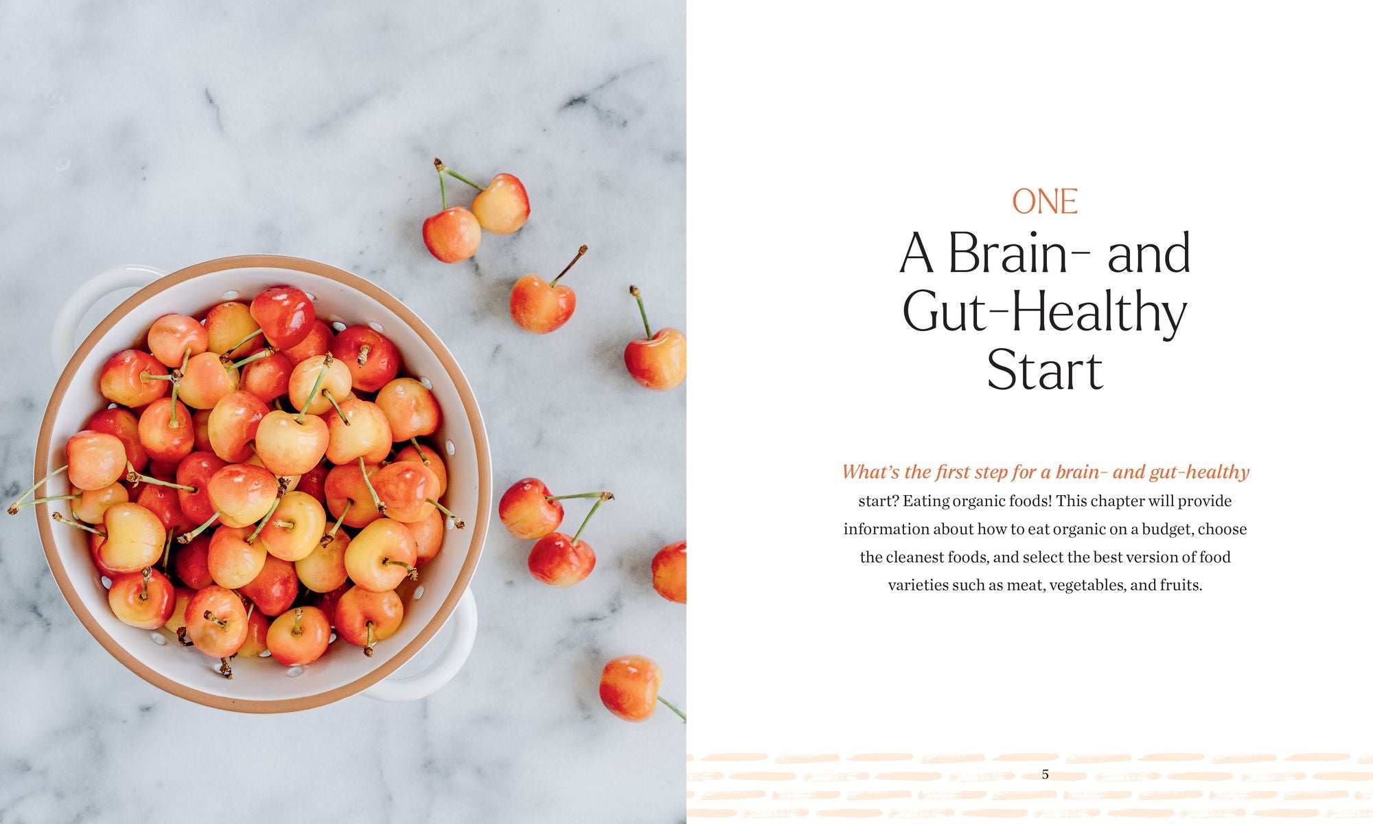 Brain Food for Your Baby: An Organic Baby Food Cookbook and Nutrition Guide for Gut Health