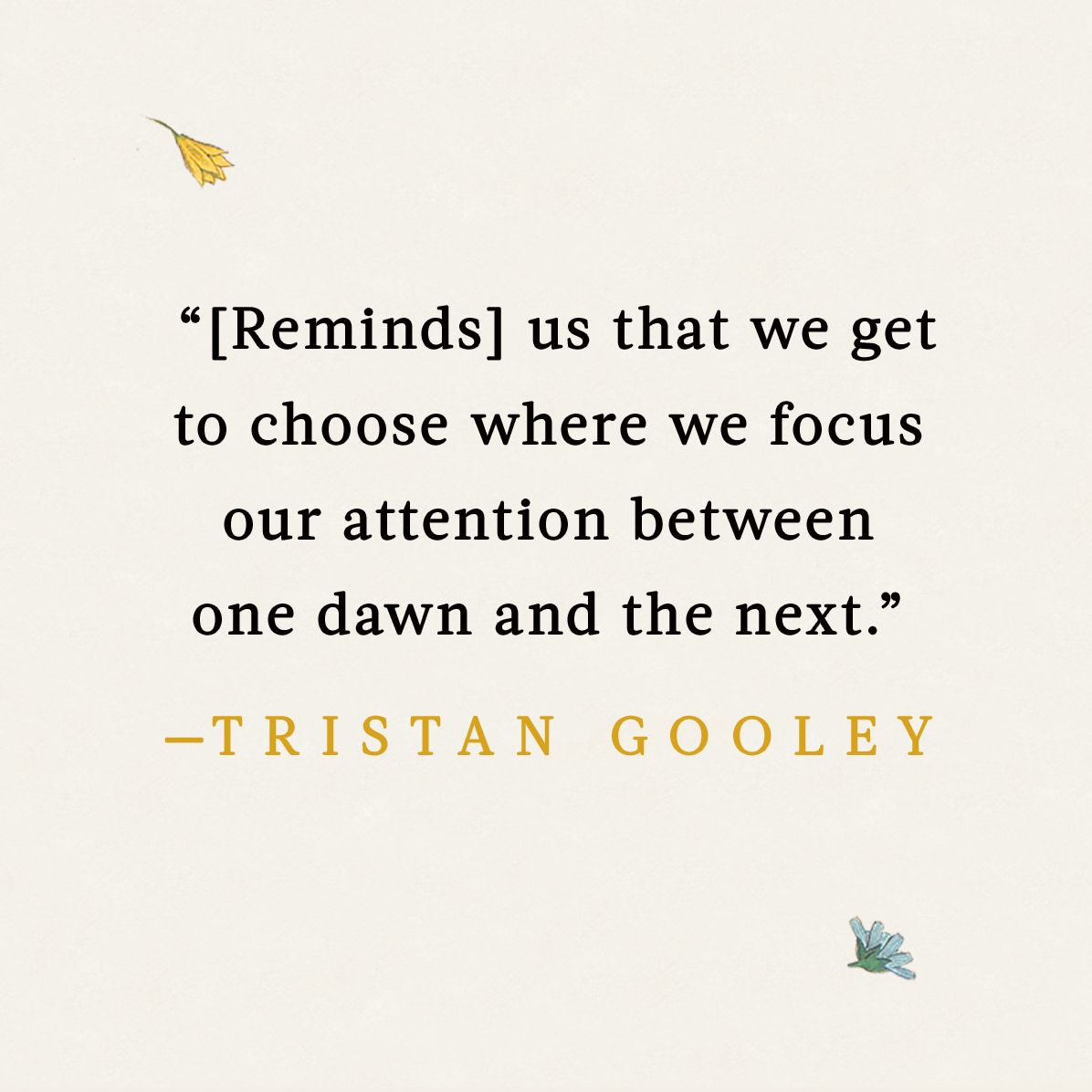 The Fullness of Time: Marking the Day by Birdsong, Blooms, Shadows, and Stars