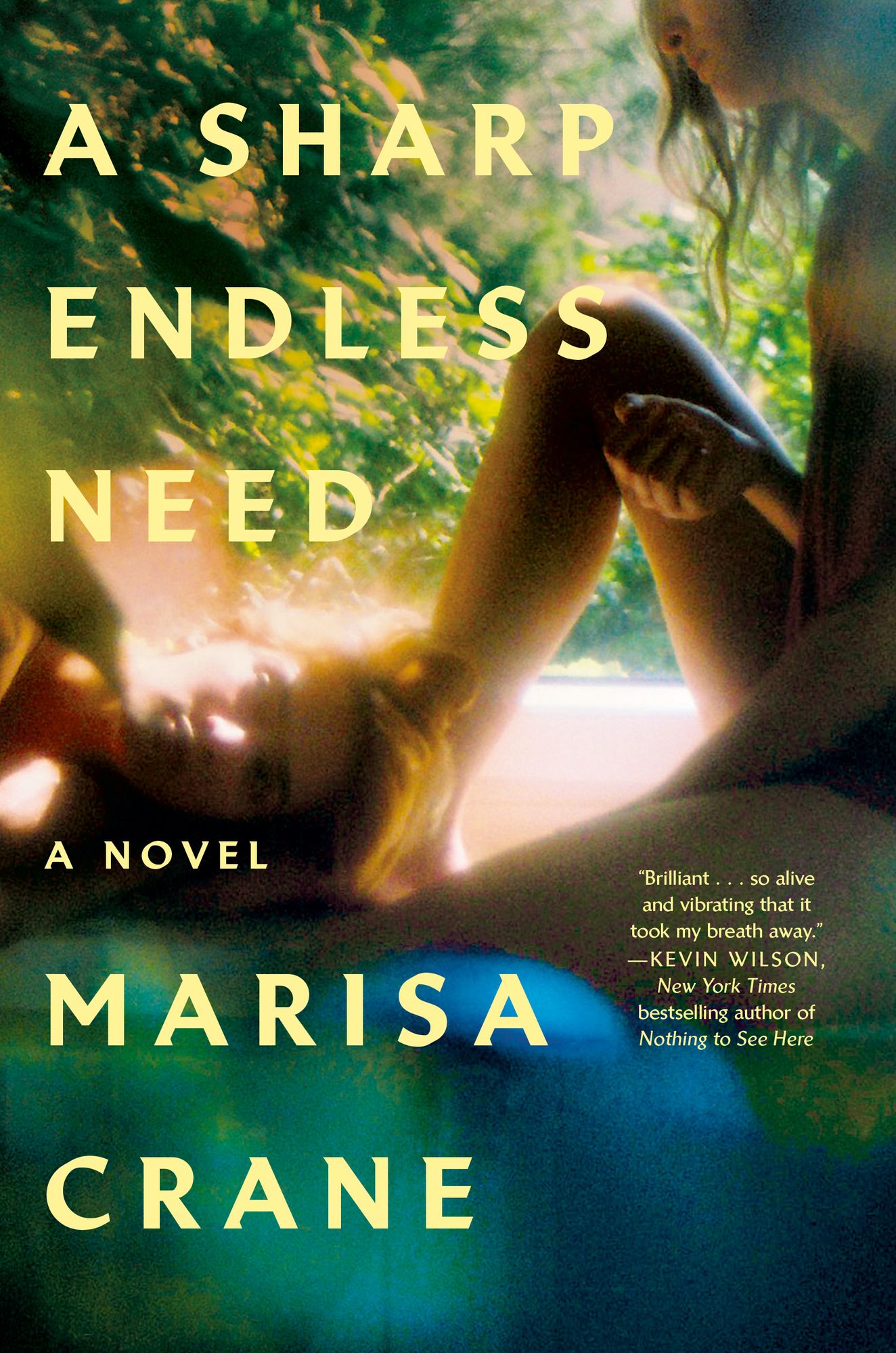 A Sharp Endless Need: A Novel
