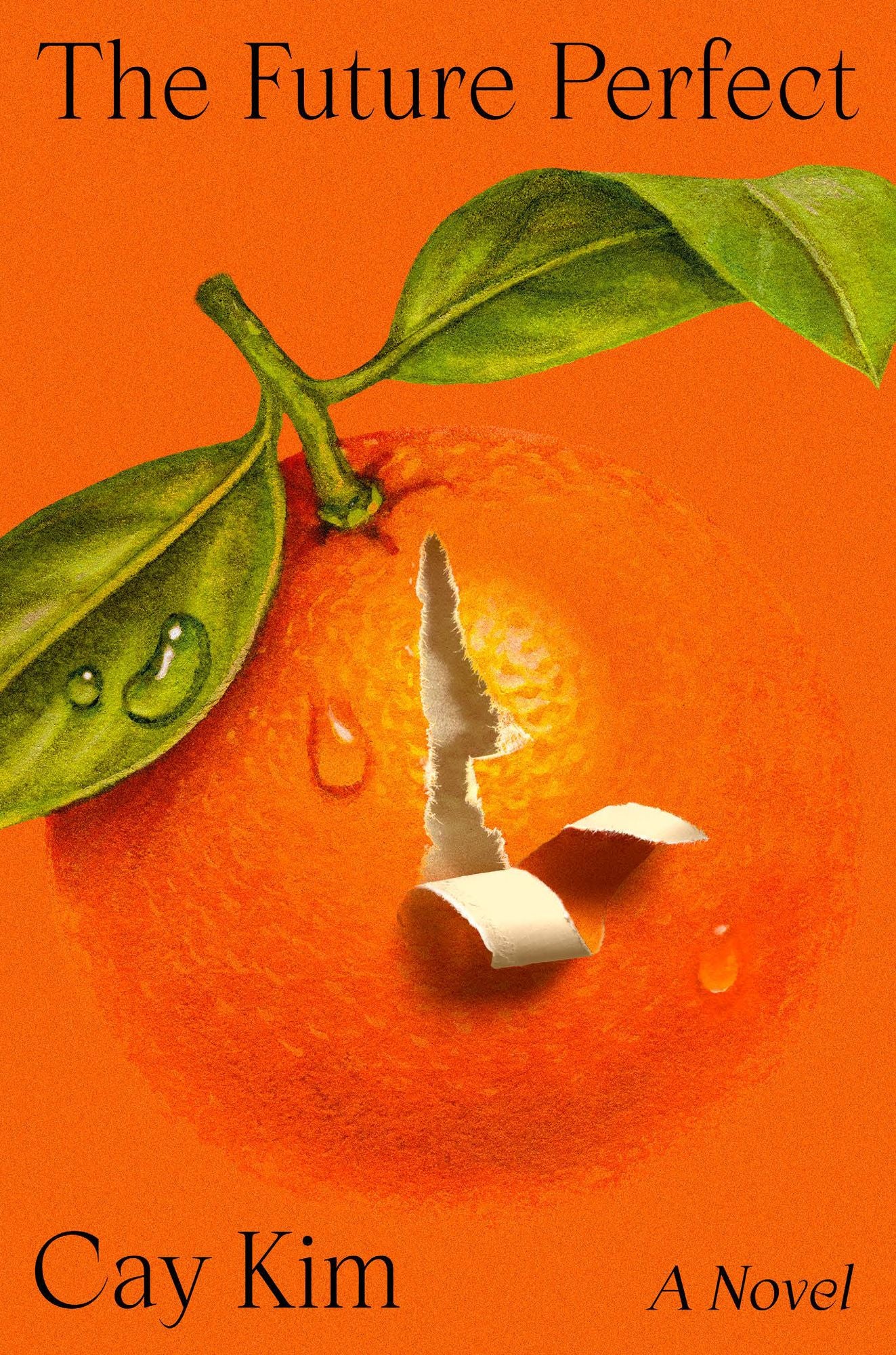 The Future Perfect: A Novel