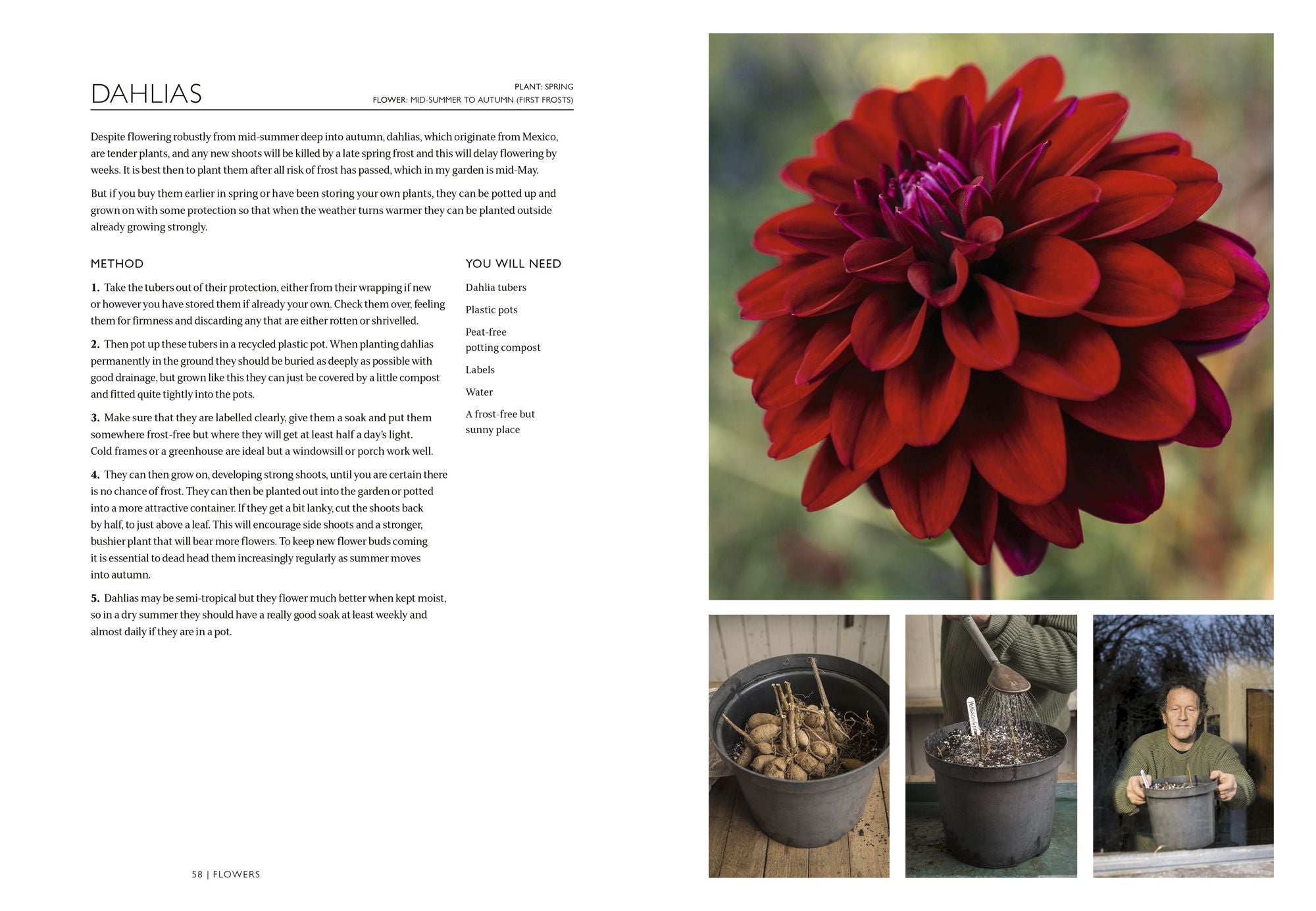 The Gardening Book: An Accessible Guide to Growing Houseplants, Flowers, and Vegetables for Your Ideal Garden