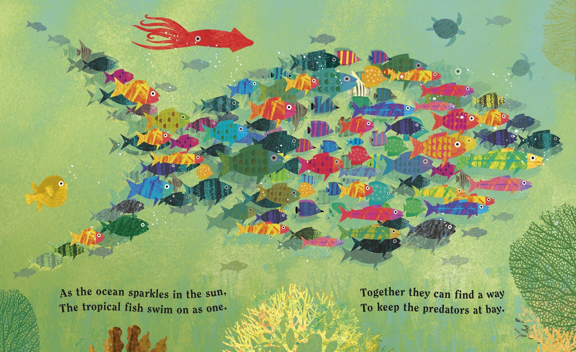 Ocean: A Peek-Through Board Book