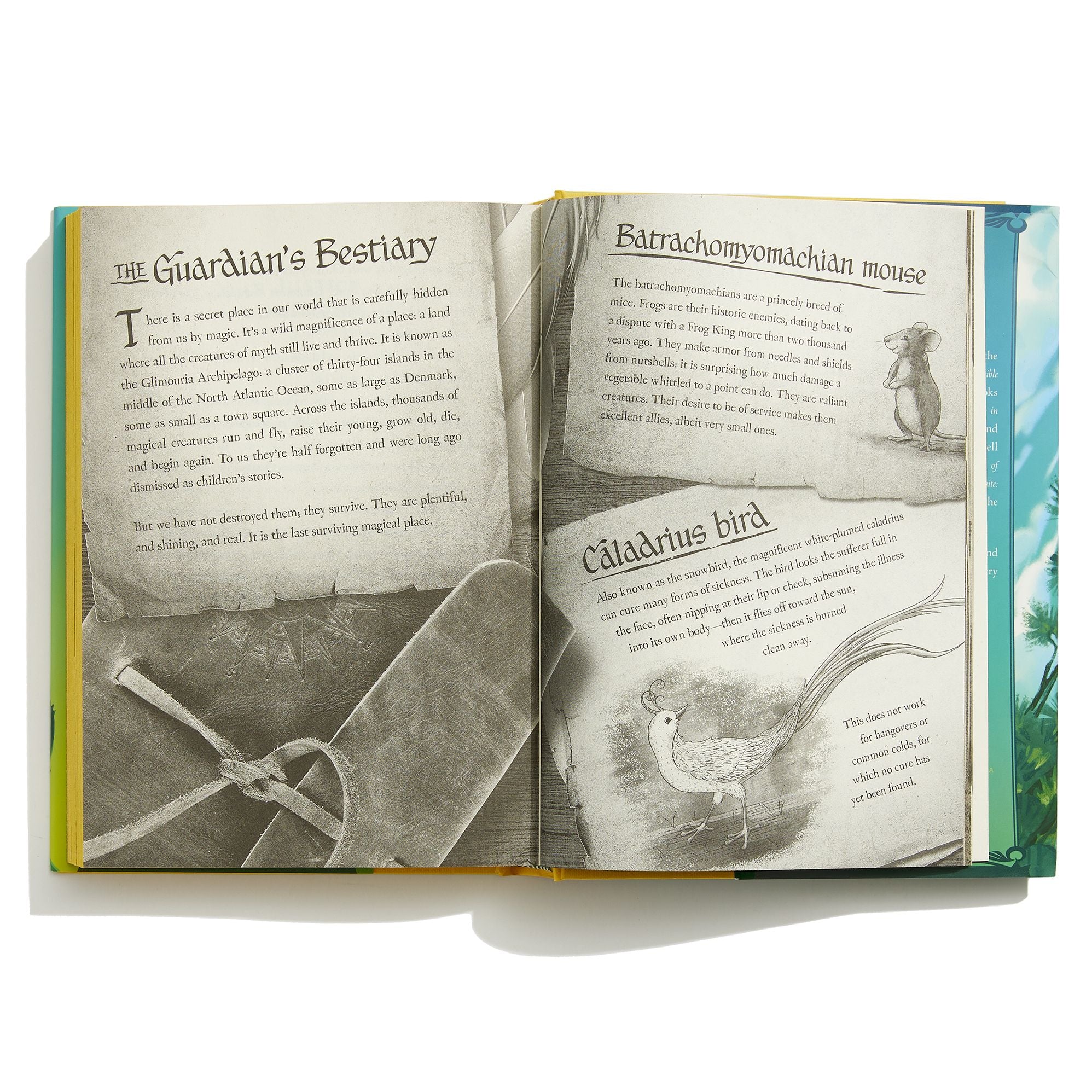 The Poisoned King (Impossible Creatures #2)