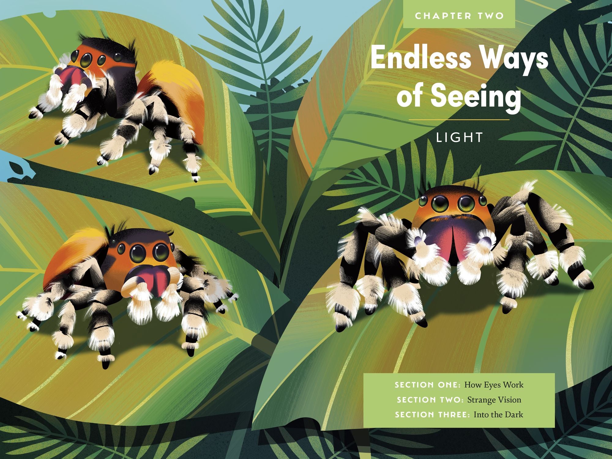 An Immense World (Young Readers Edition): How Animals Sense Earth's Amazing Secrets