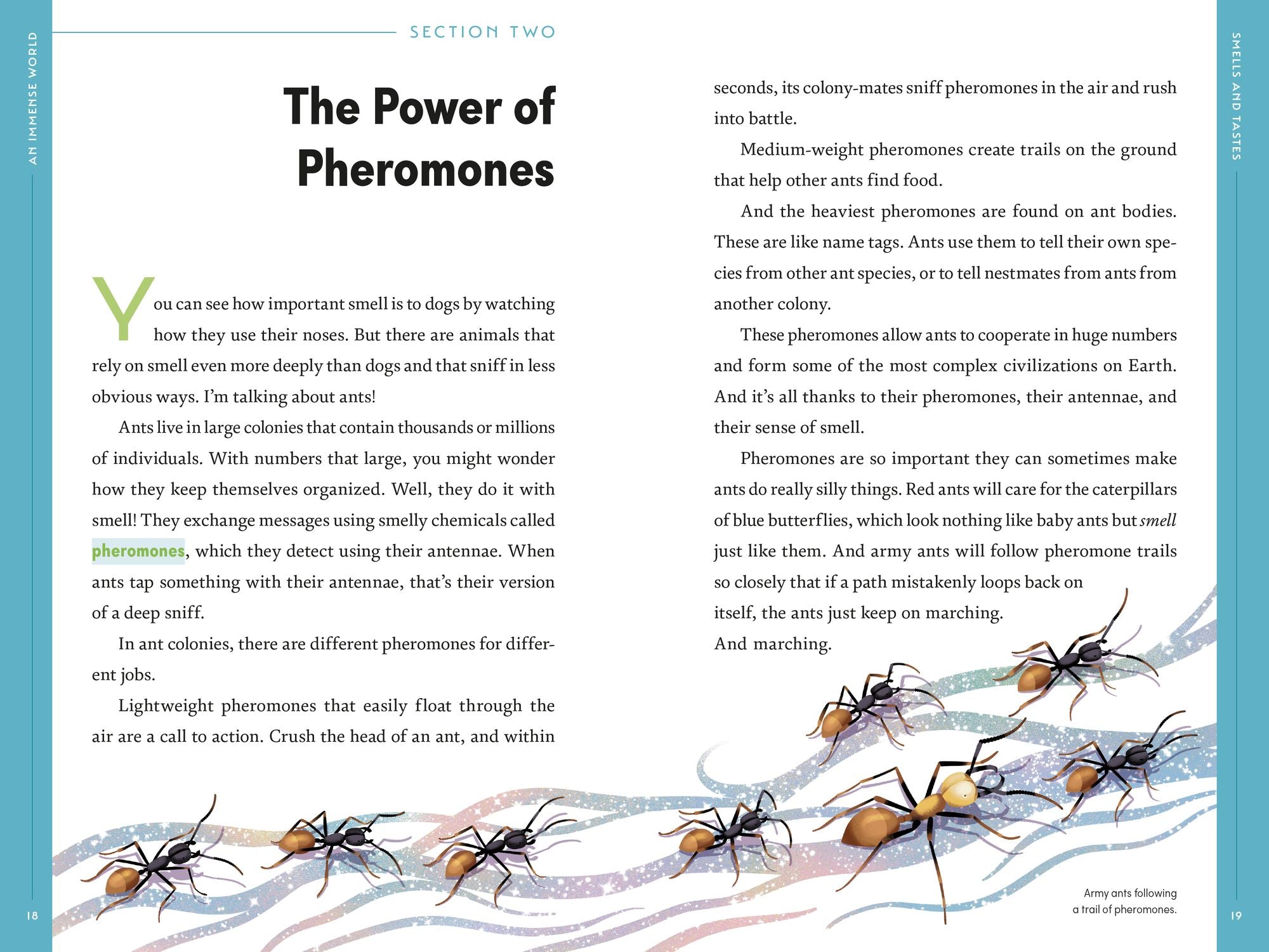 An Immense World (Young Readers Edition): How Animals Sense Earth's Amazing Secrets