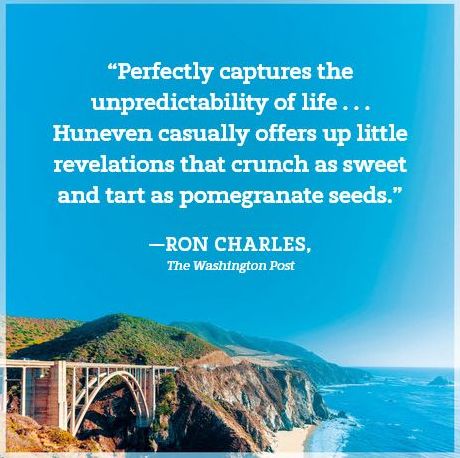 Bug Hollow: A Novel