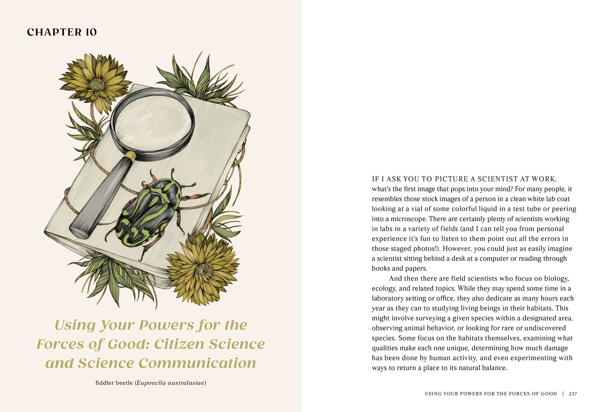 The Everyday Naturalist: How to Identify Animals, Plants, and Fungi Wherever You Go