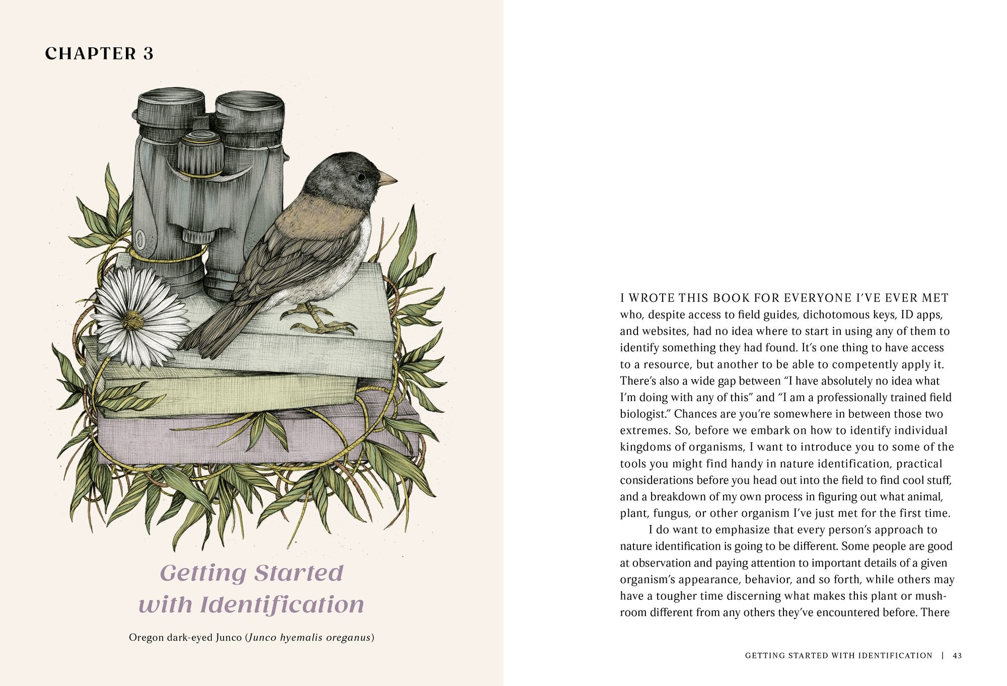 The Everyday Naturalist: How to Identify Animals, Plants, and Fungi Wherever You Go