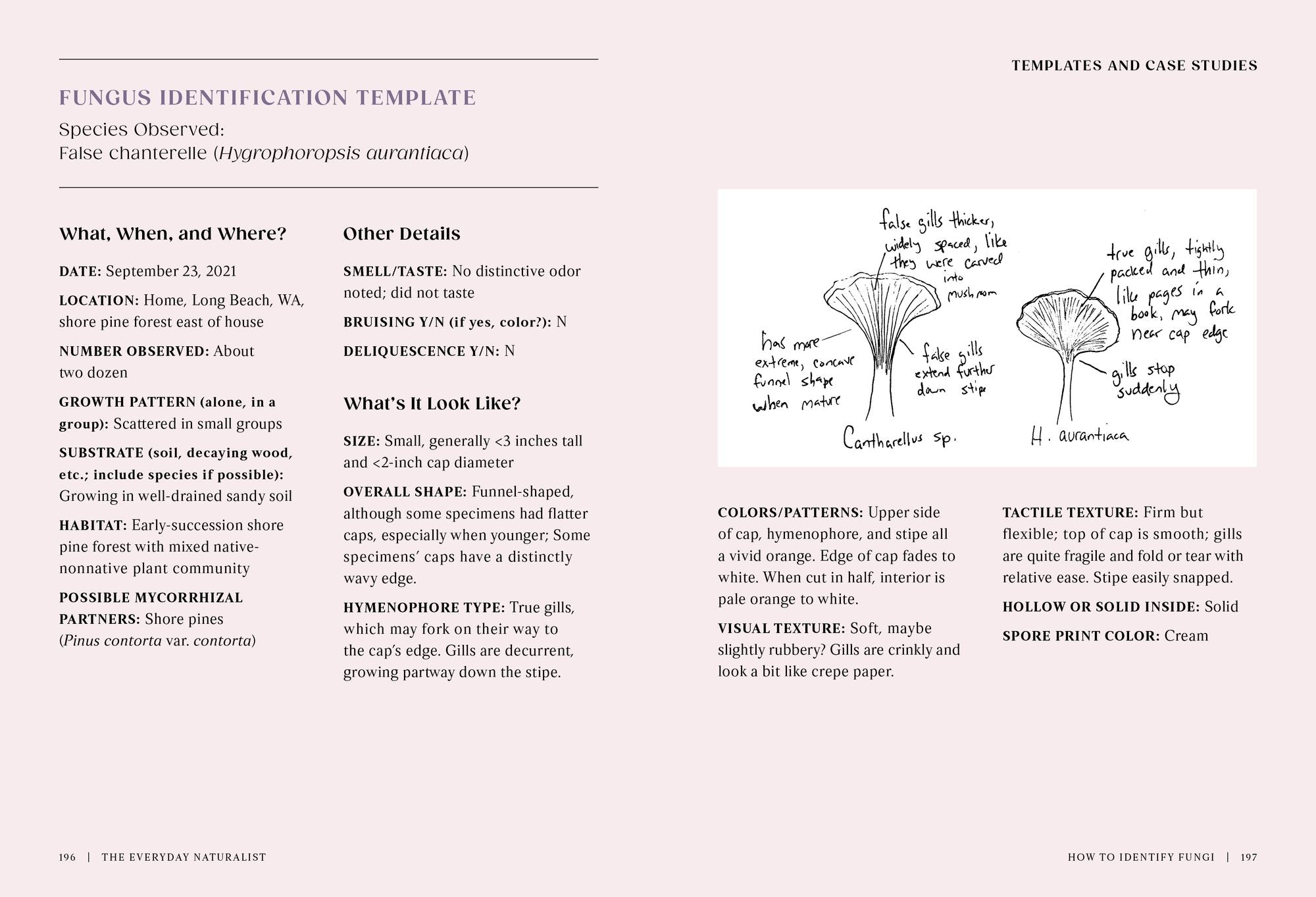 The Everyday Naturalist: How to Identify Animals, Plants, and Fungi Wherever You Go