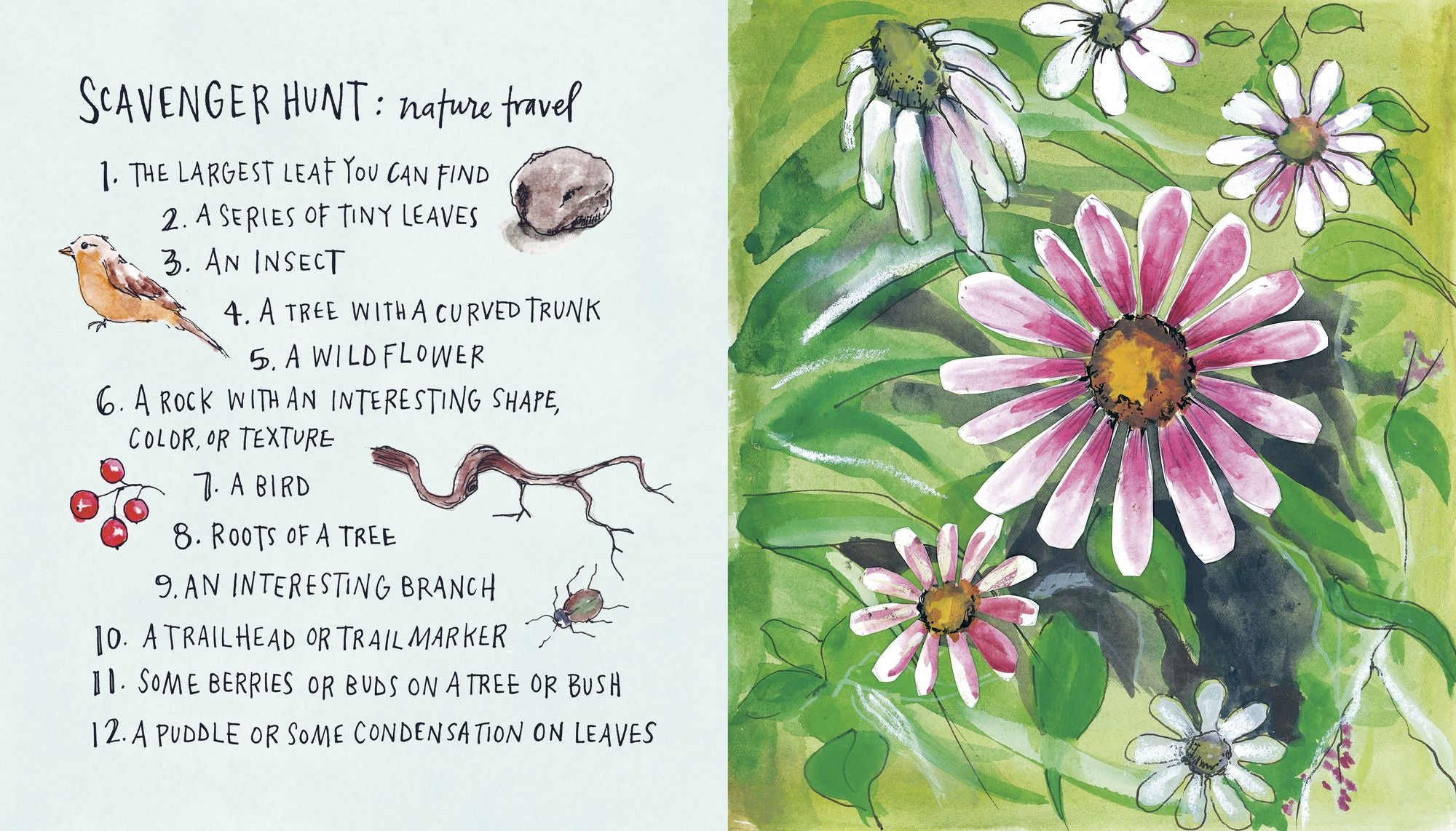 Draw Your Adventures: Making Art to Celebrate Everyday Experiences and Travels Near and Far