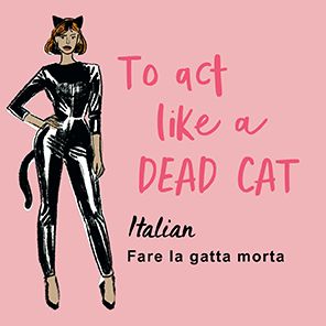 Cat Got Your Tongue?: Curious Feline Phrases from Around the World