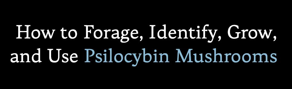 Psilocybin Mushrooms in Their Natural Habitats: A Guide to the History, Identification, and Use of Psychoactive Fungi
