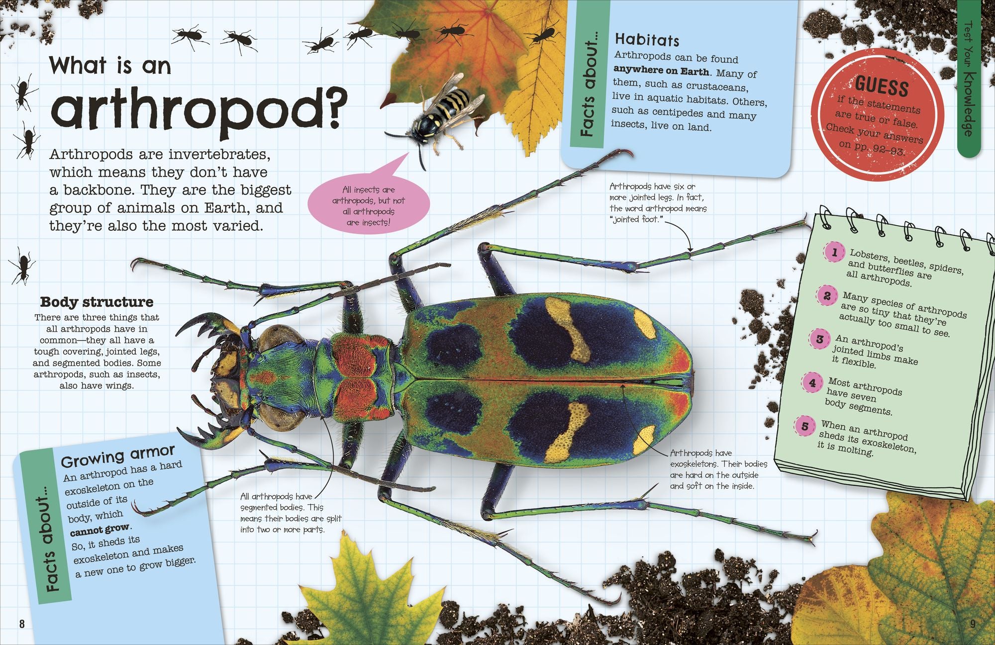 The Fact-Packed Activity Book Insects: And Other Tiny Creatures