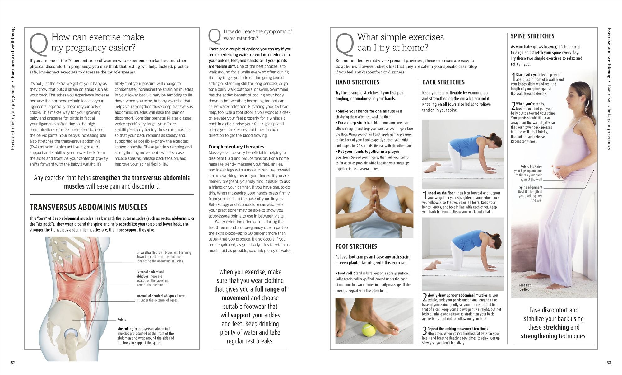 The Pregnancy Encyclopedia: All Your Questions Answered