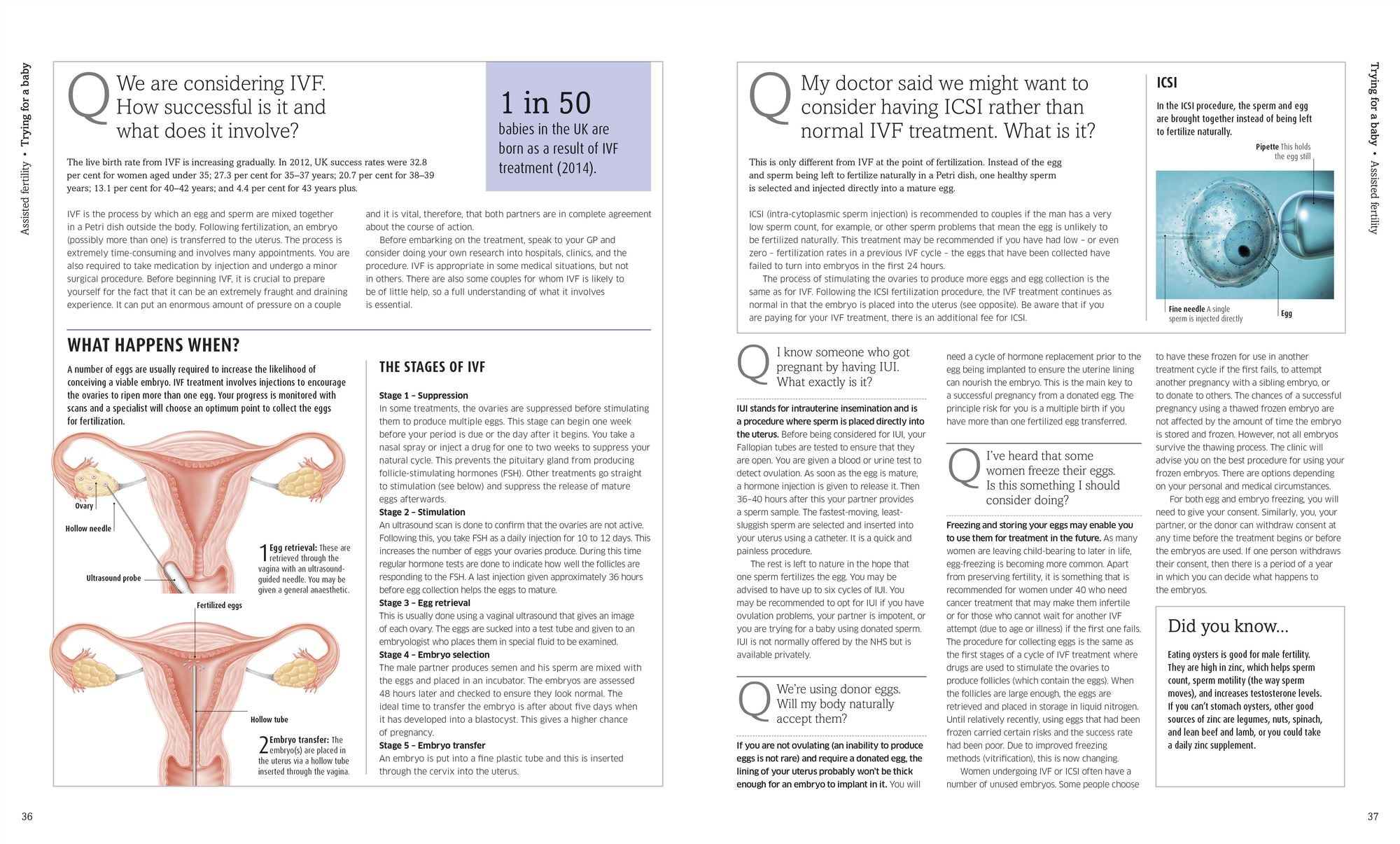 The Pregnancy Encyclopedia: All Your Questions Answered