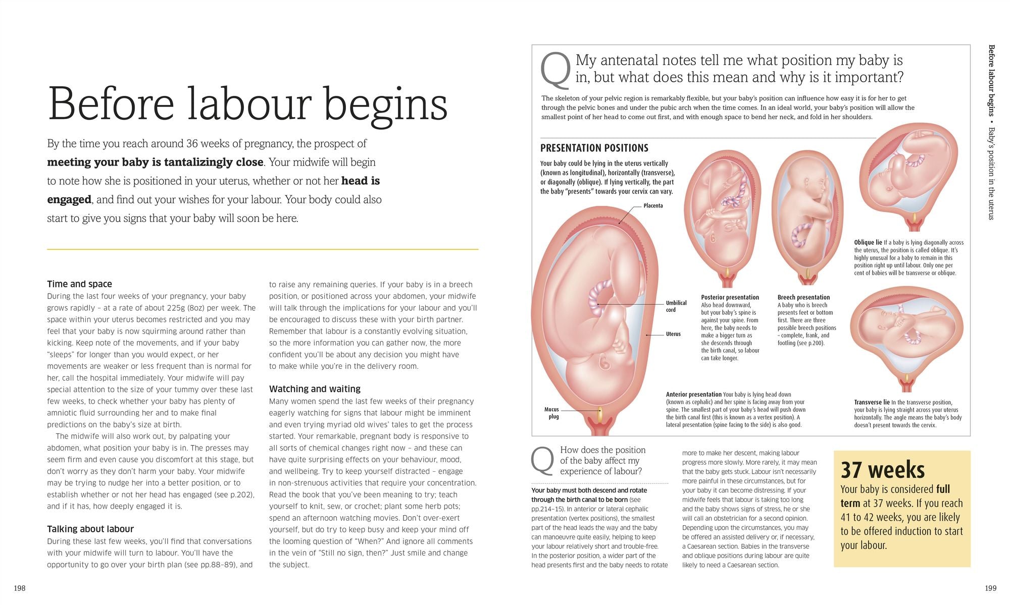 The Pregnancy Encyclopedia: All Your Questions Answered