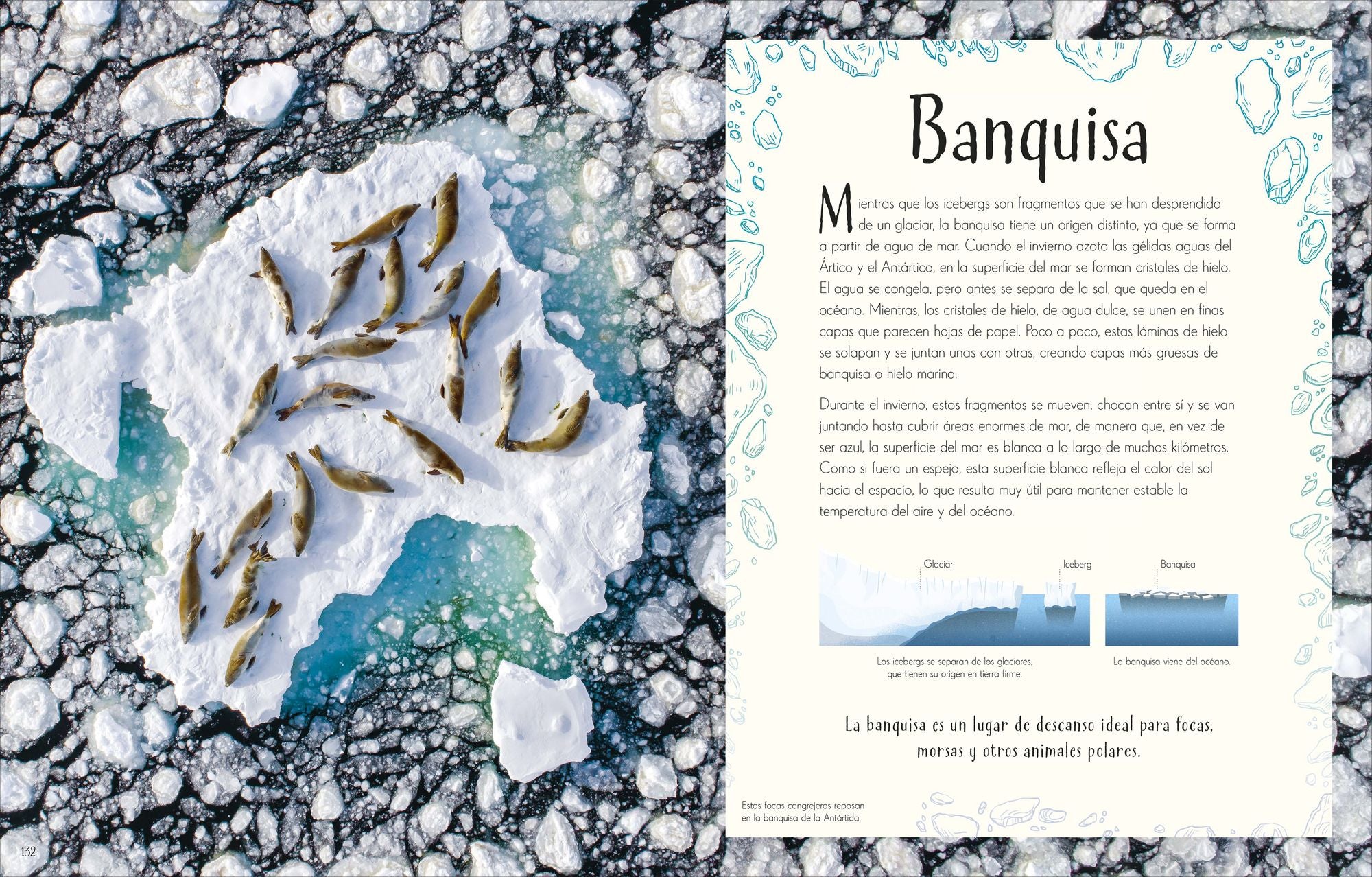 Maravillas del Planeta Tierra (An Anthology of Our Extraordinary Earth)
