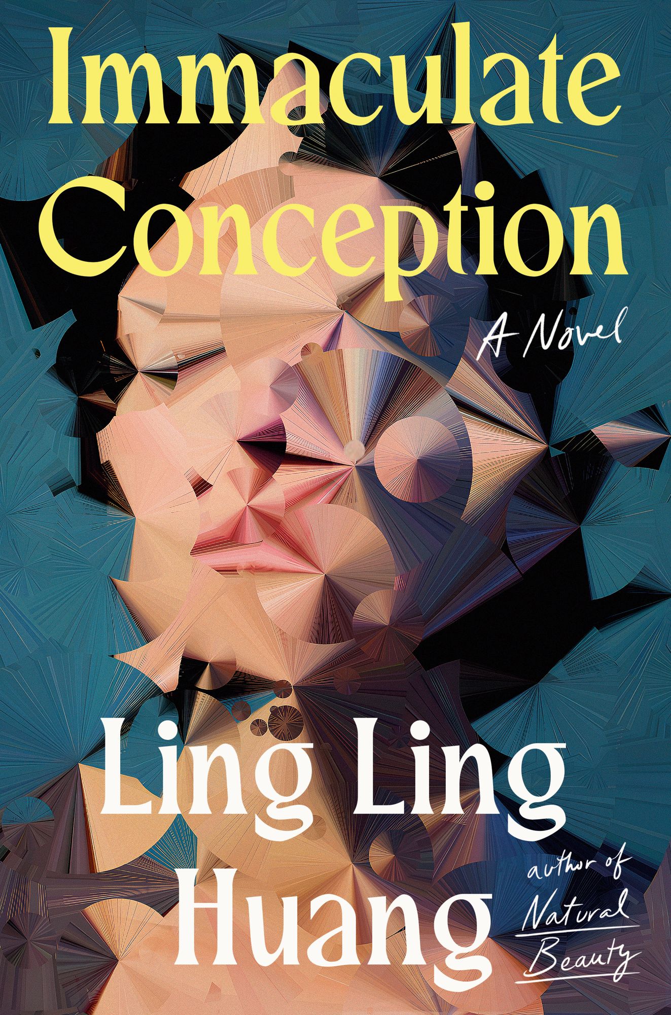 Immaculate Conception: A Novel