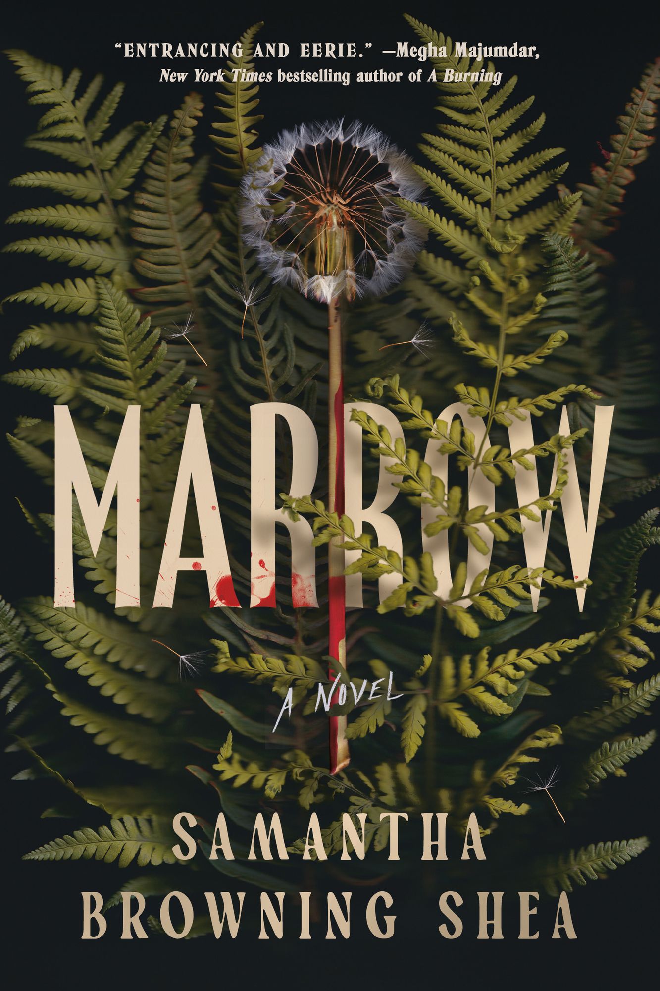 Marrow