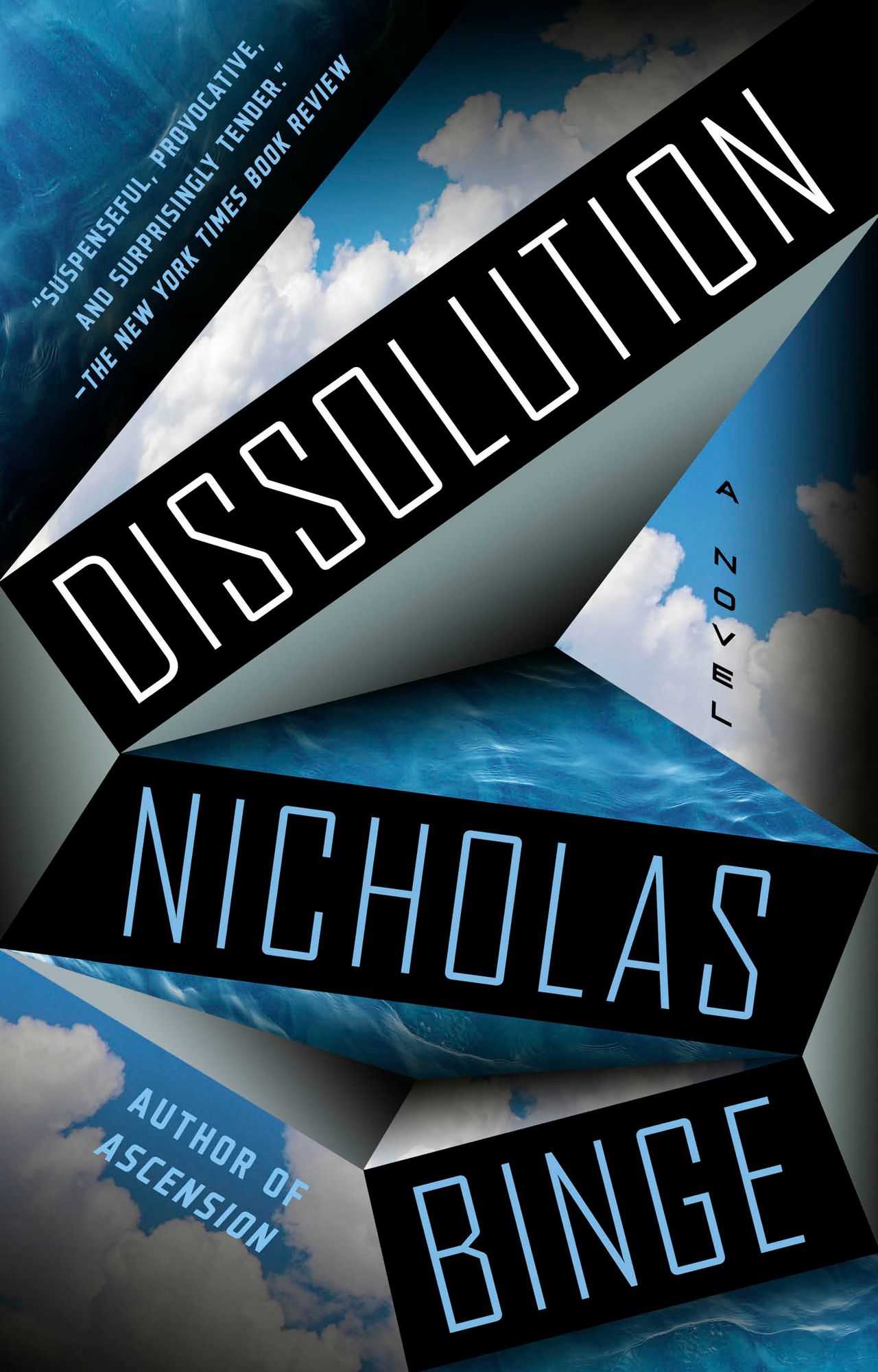 Dissolution: A Novel
