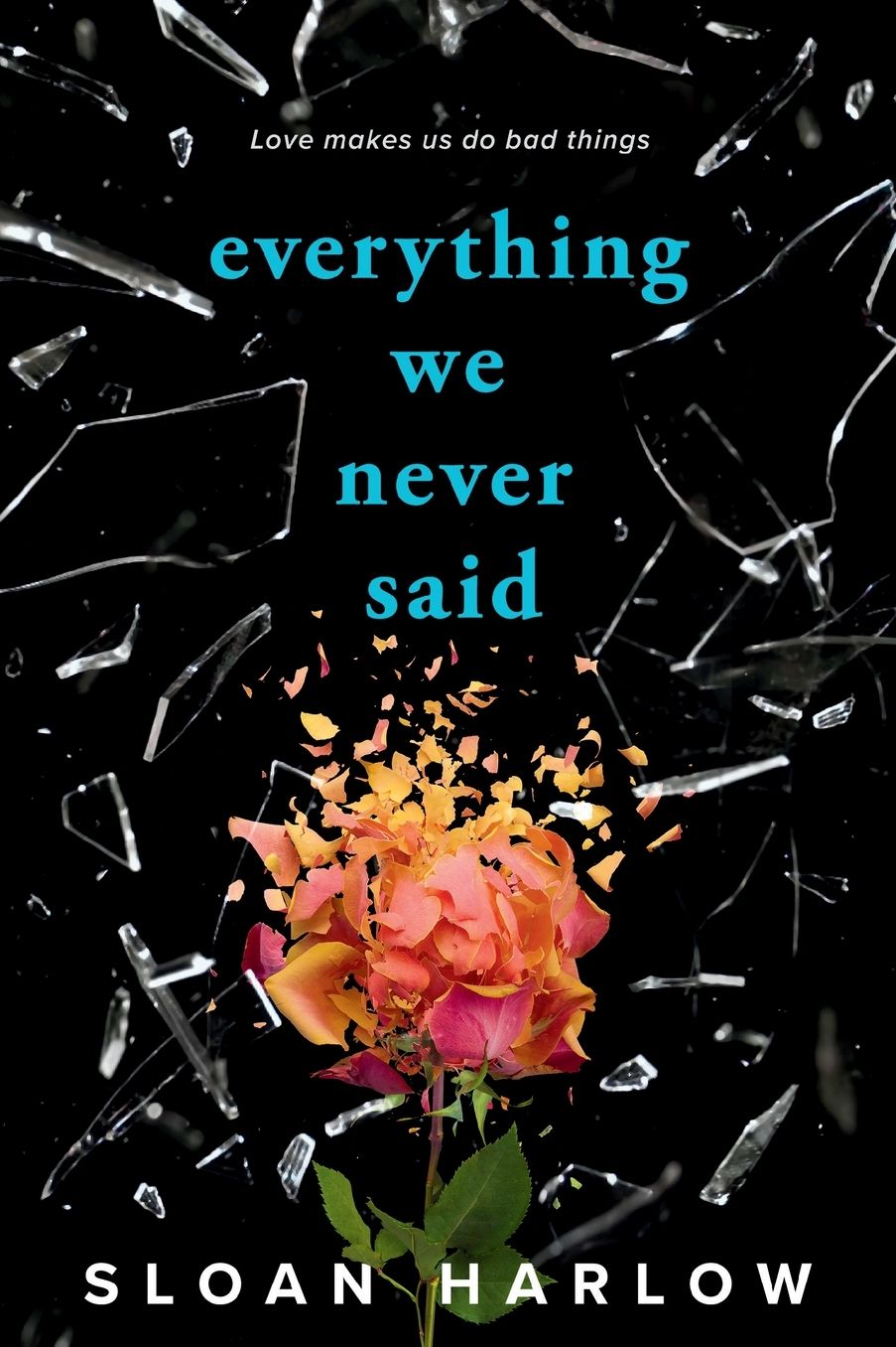 Everything We Never Said