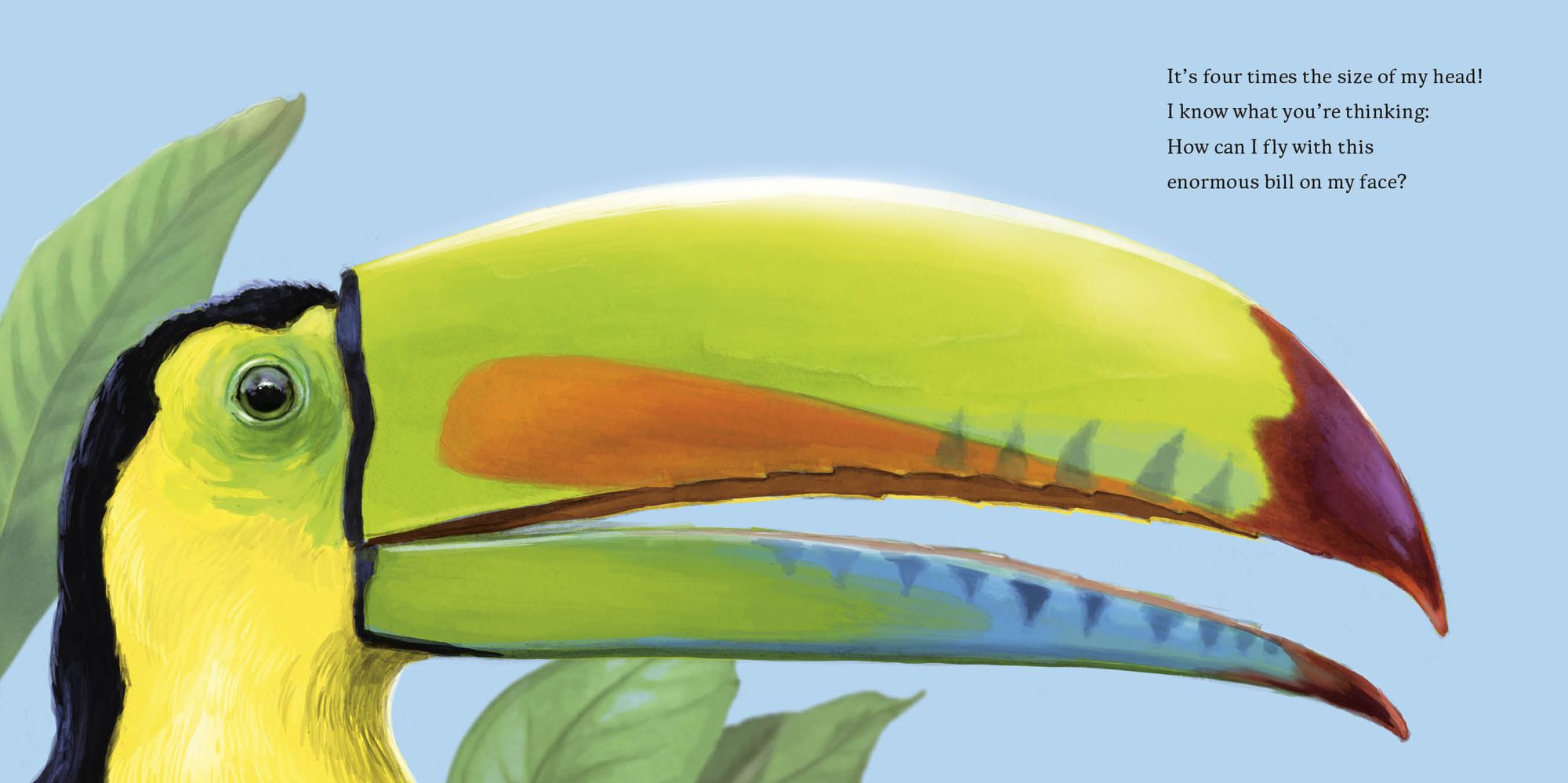 Hello, I'm a Toucan (Meet the Wild Things, Book 5)
