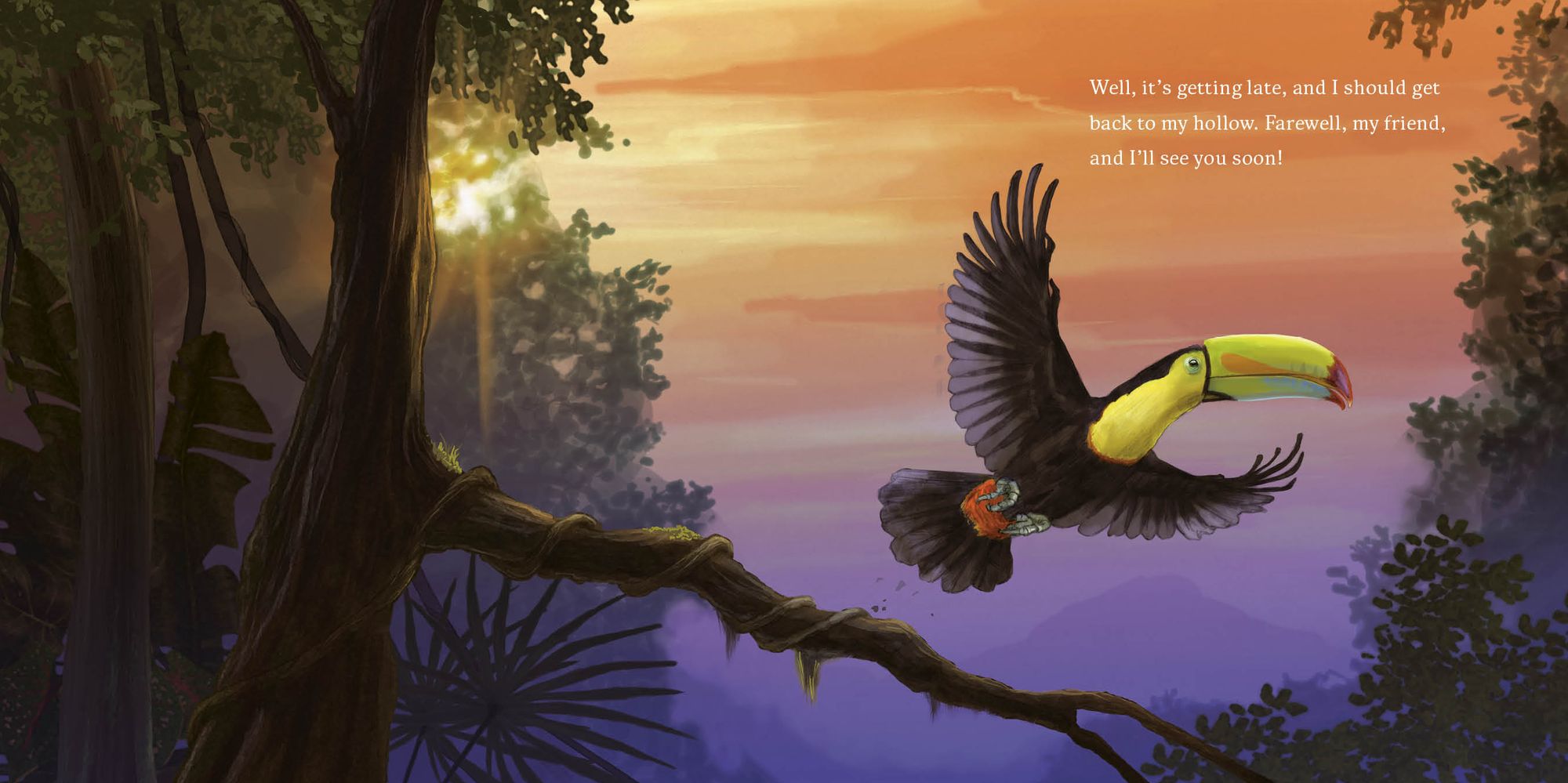 Hello, I'm a Toucan (Meet the Wild Things, Book 5)