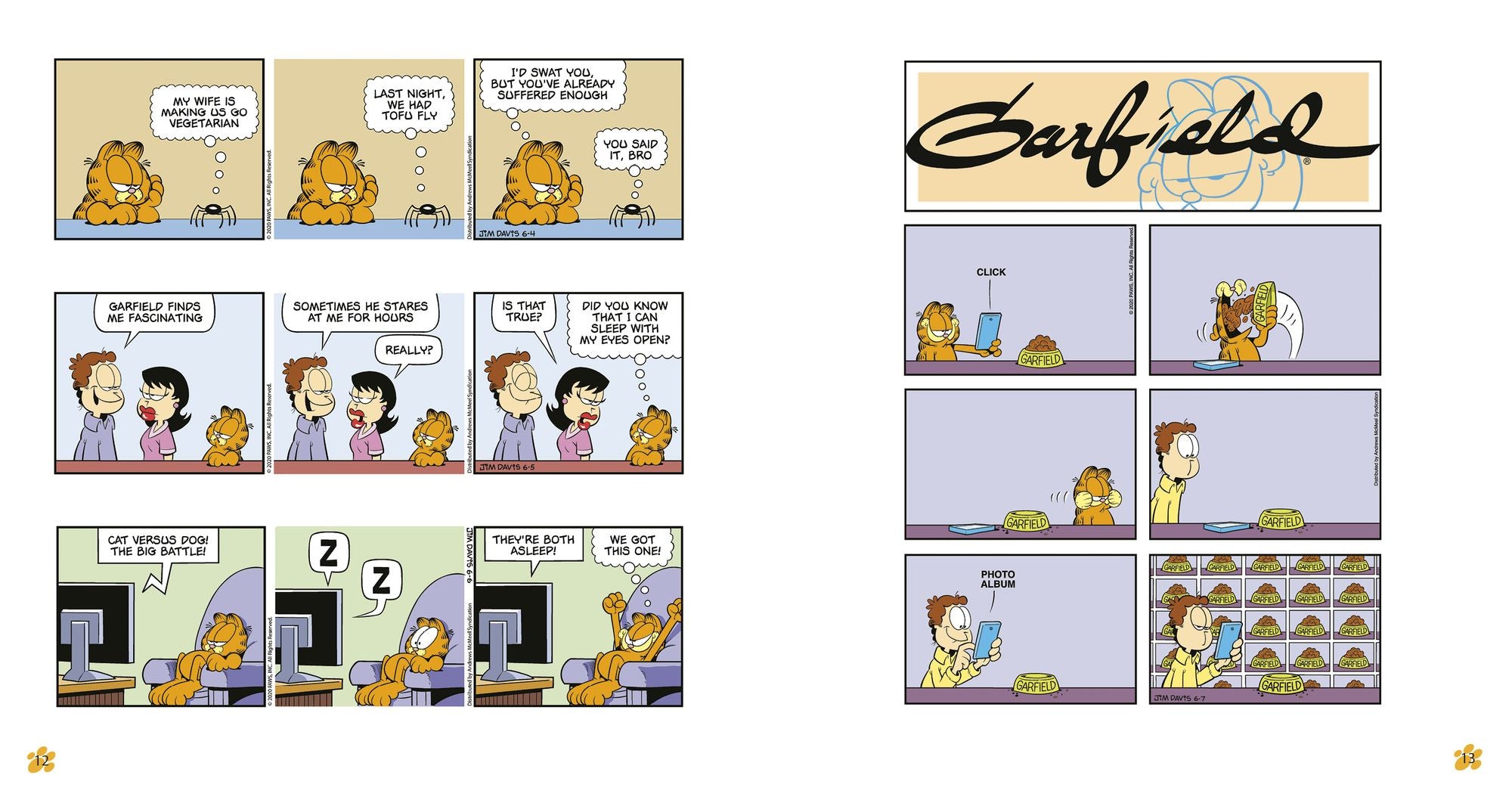 Garfield Fat Cat 3-Pack #25