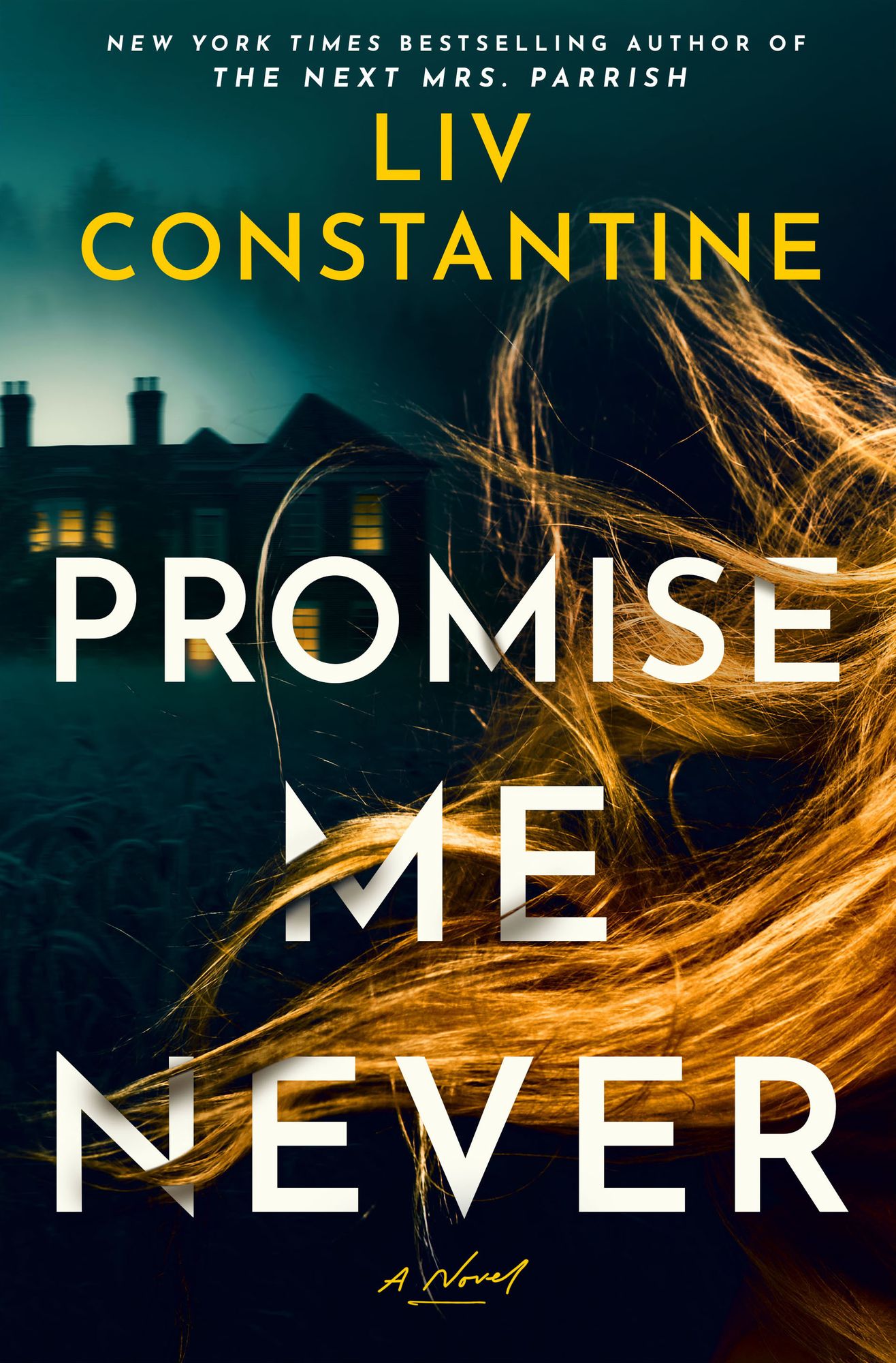 Promise Me Never: A Novel