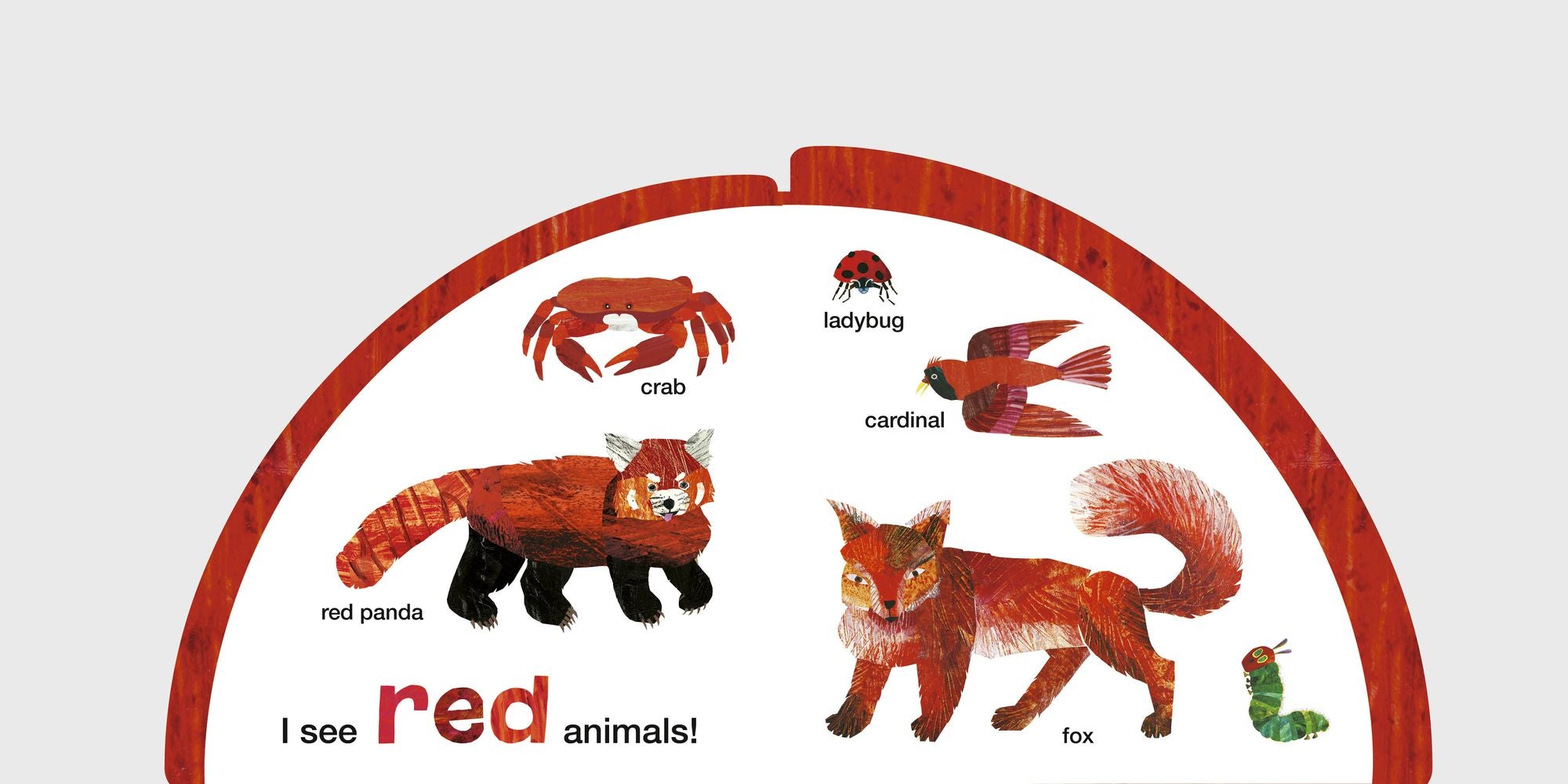 The Very Hungry Caterpillar's Animal Colors