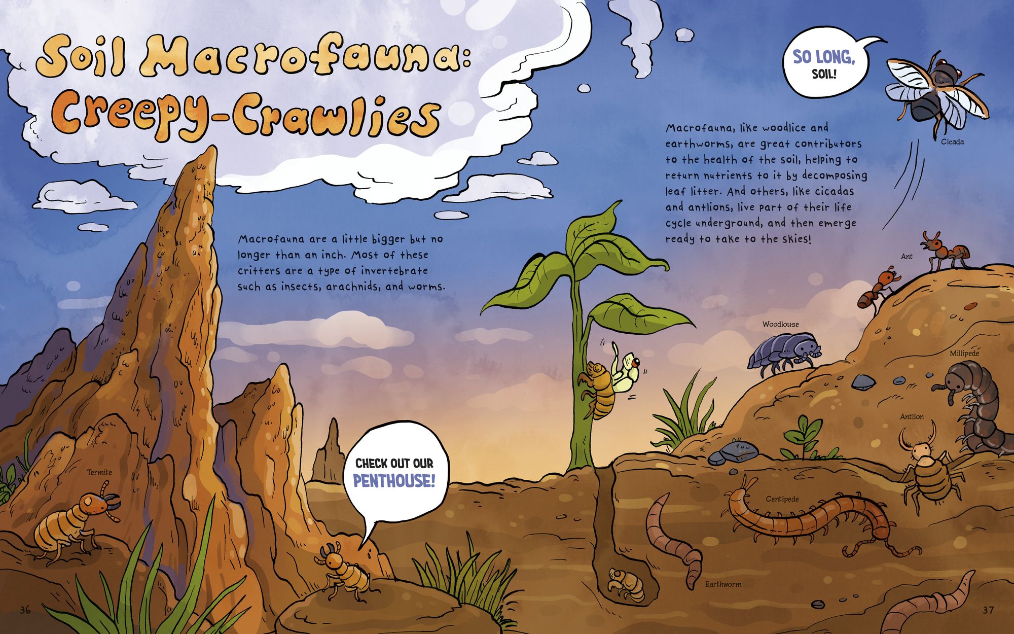 The Dirt!: Wild Life Under the Soil's Surface