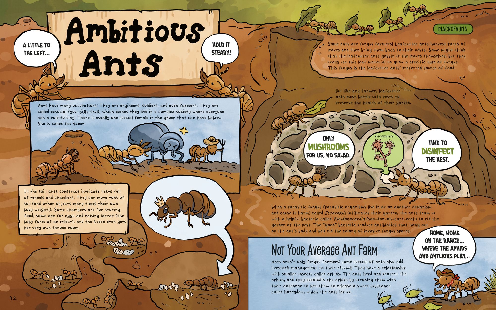The Dirt!: Wild Life Under the Soil's Surface