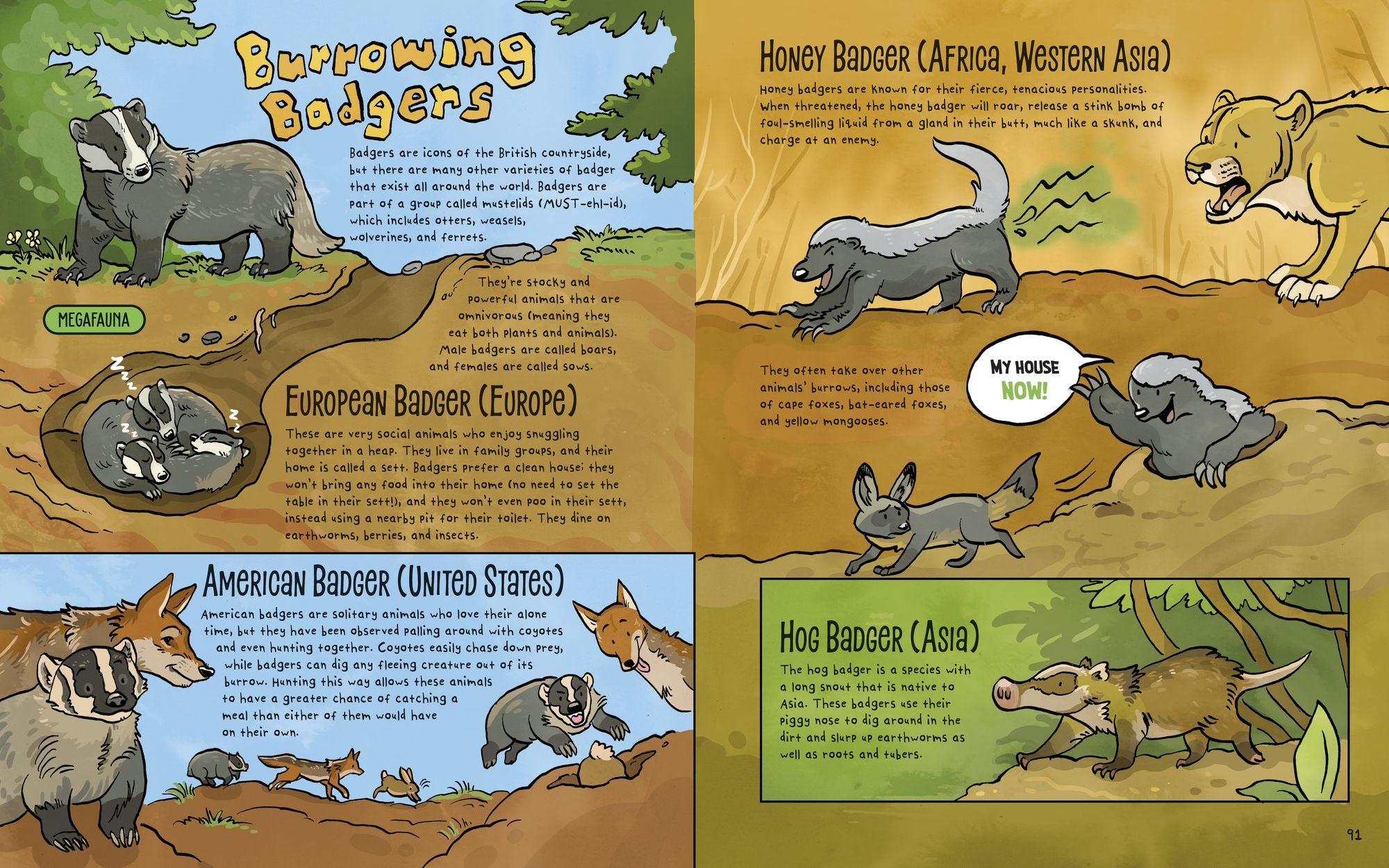 The Dirt!: Wild Life Under the Soil's Surface