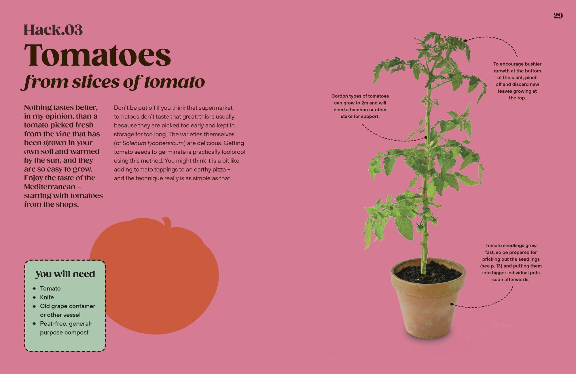 Grow Your Groceries: 40 Hacks for Growing Plants from Supermarket Foods