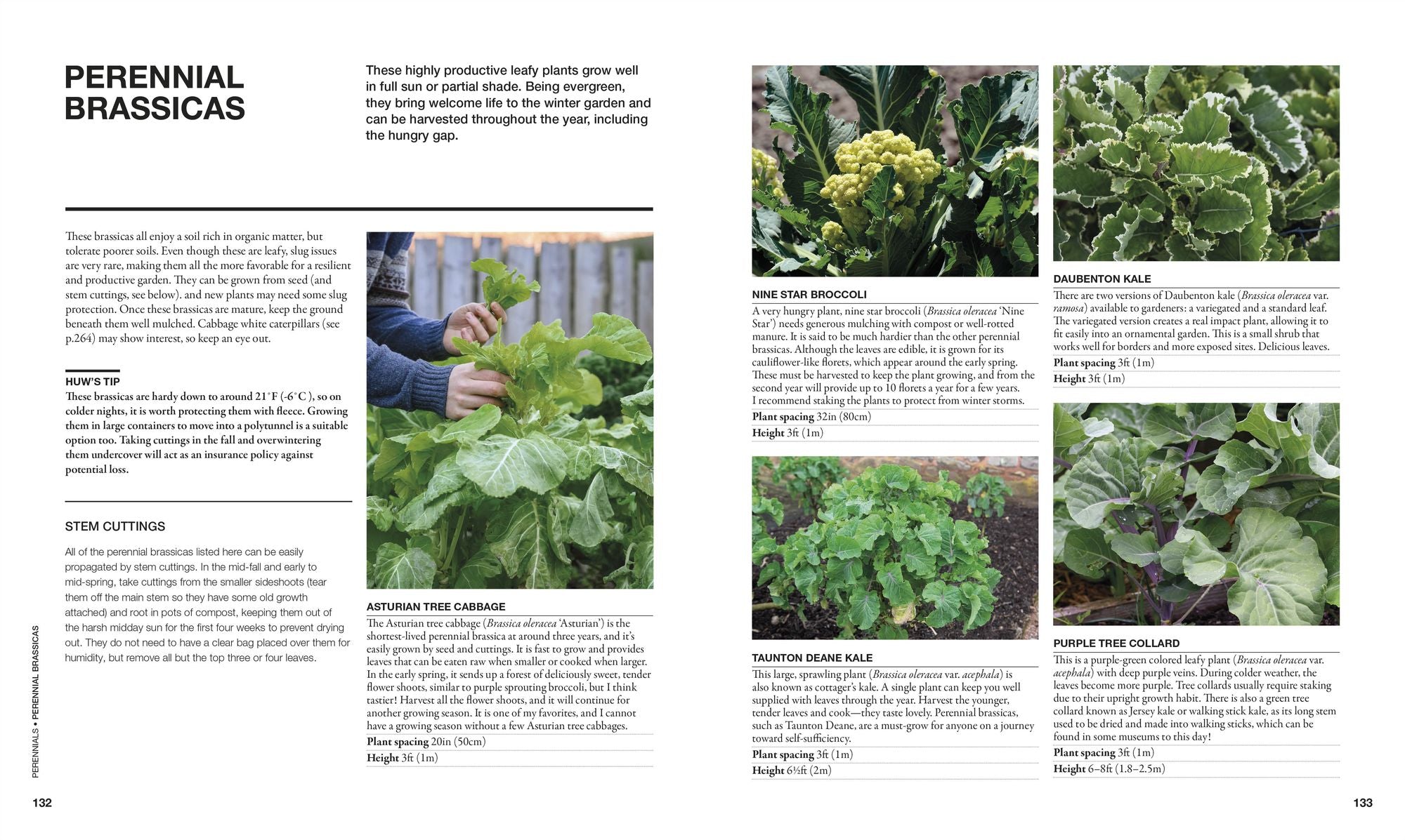 The Permaculture Garden: A Practical Approach to Year-Round Harvests