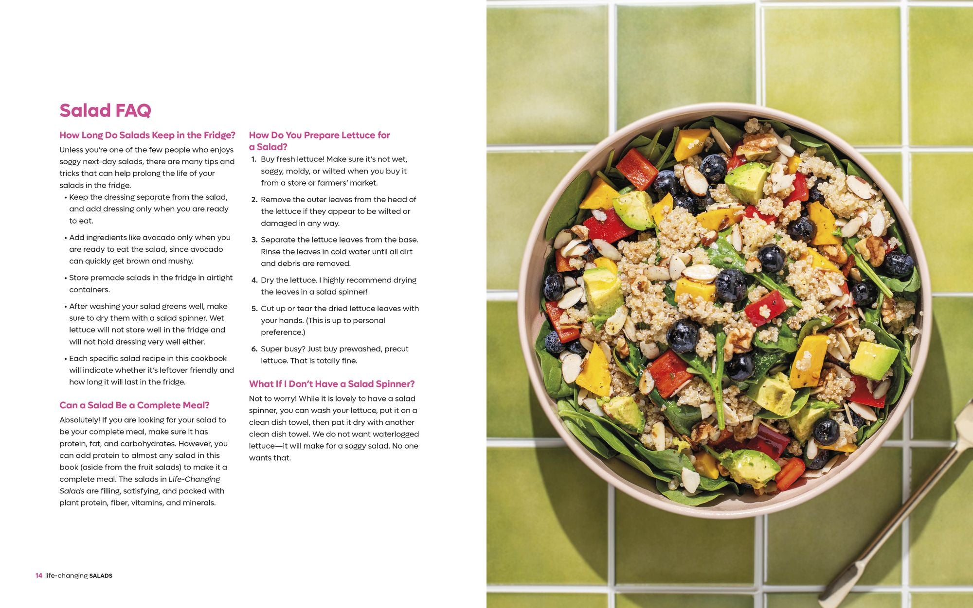 Life-Changing Salads: 100 Plant-Based Salads and Dressings Beyond Your Wildest Greens (HealthyGirl Kitchen)