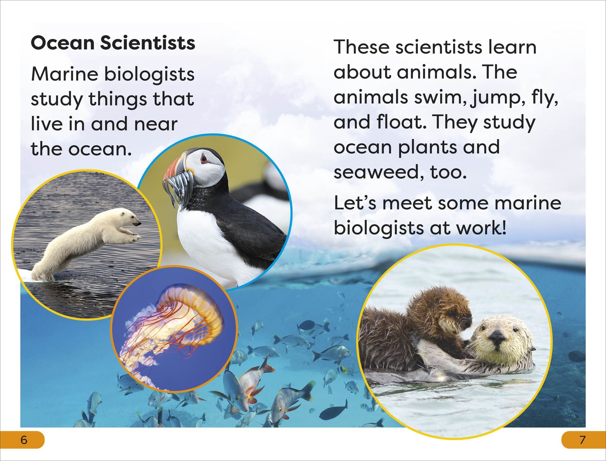 DK Super Readers Level 1 A Day in the Life of a Marine Biologist