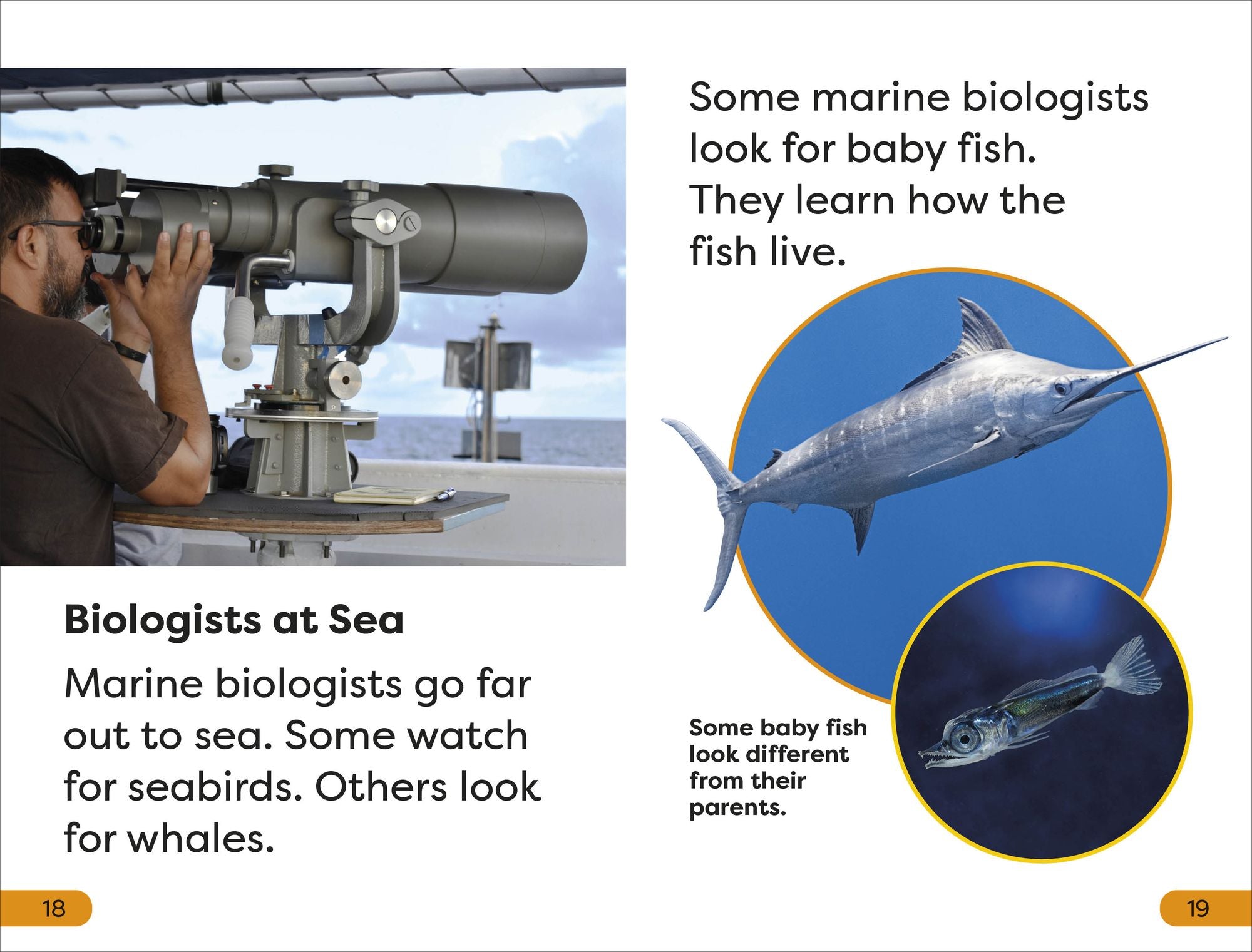 DK Super Readers Level 1 A Day in the Life of a Marine Biologist