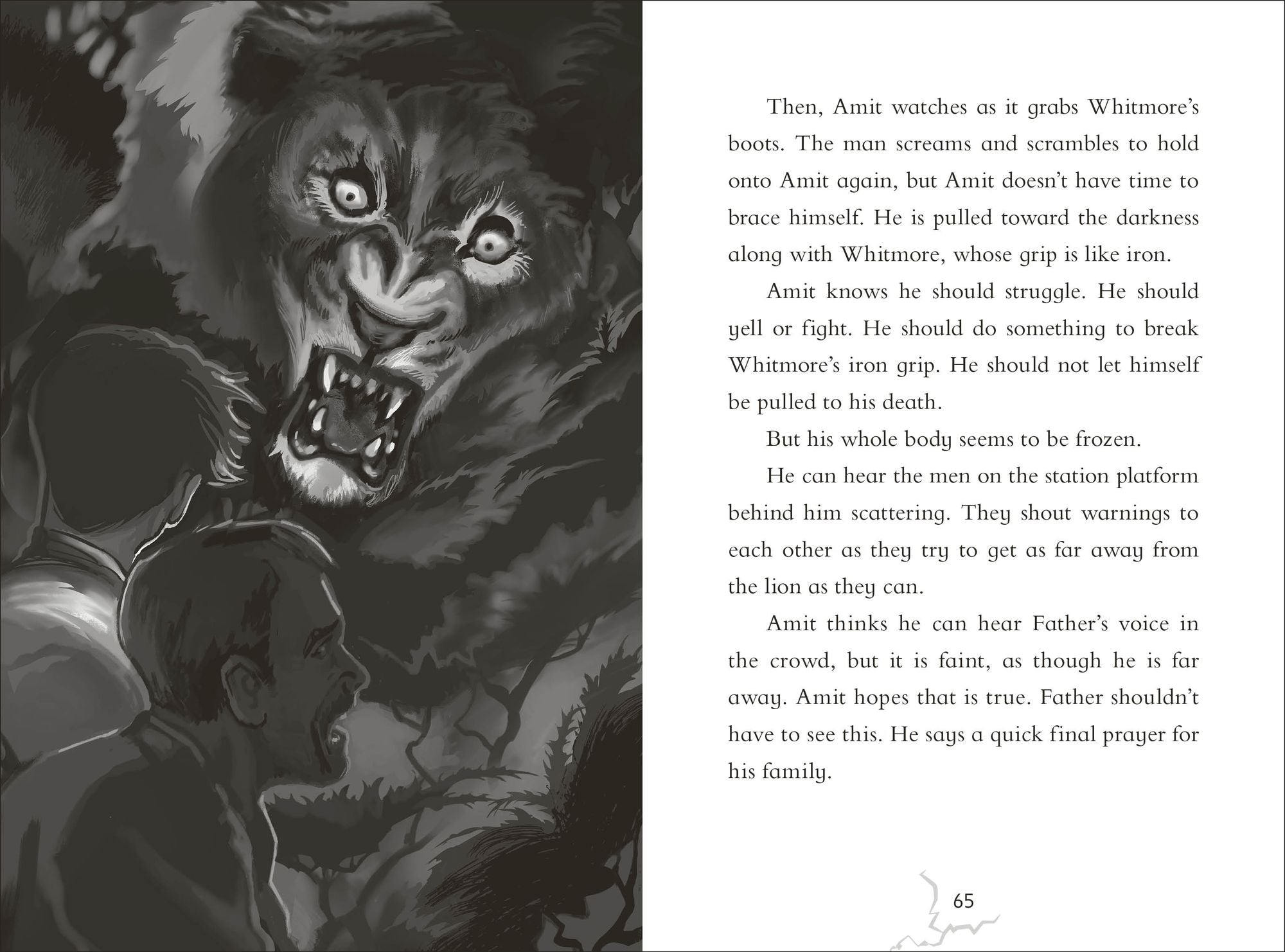 Against the Odds: Animal Attacks