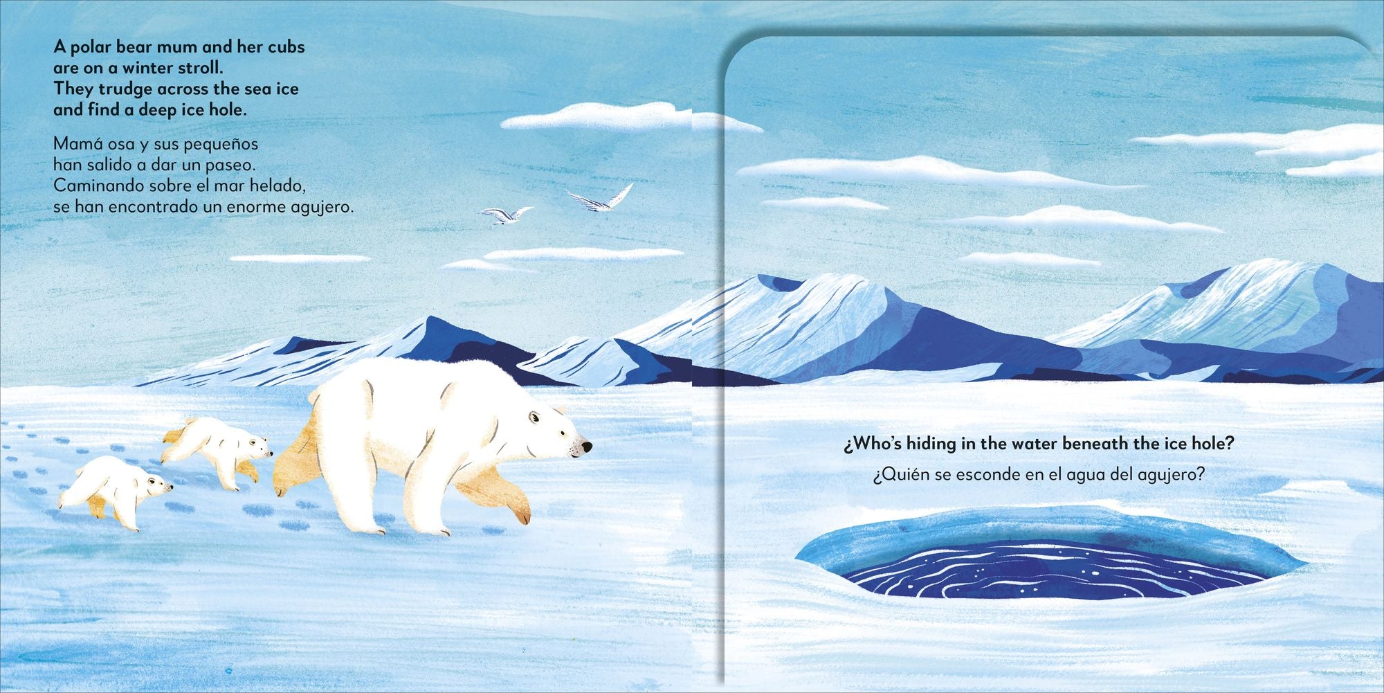 Bilingual Pop-up Peekaboo! Winter / El invierno