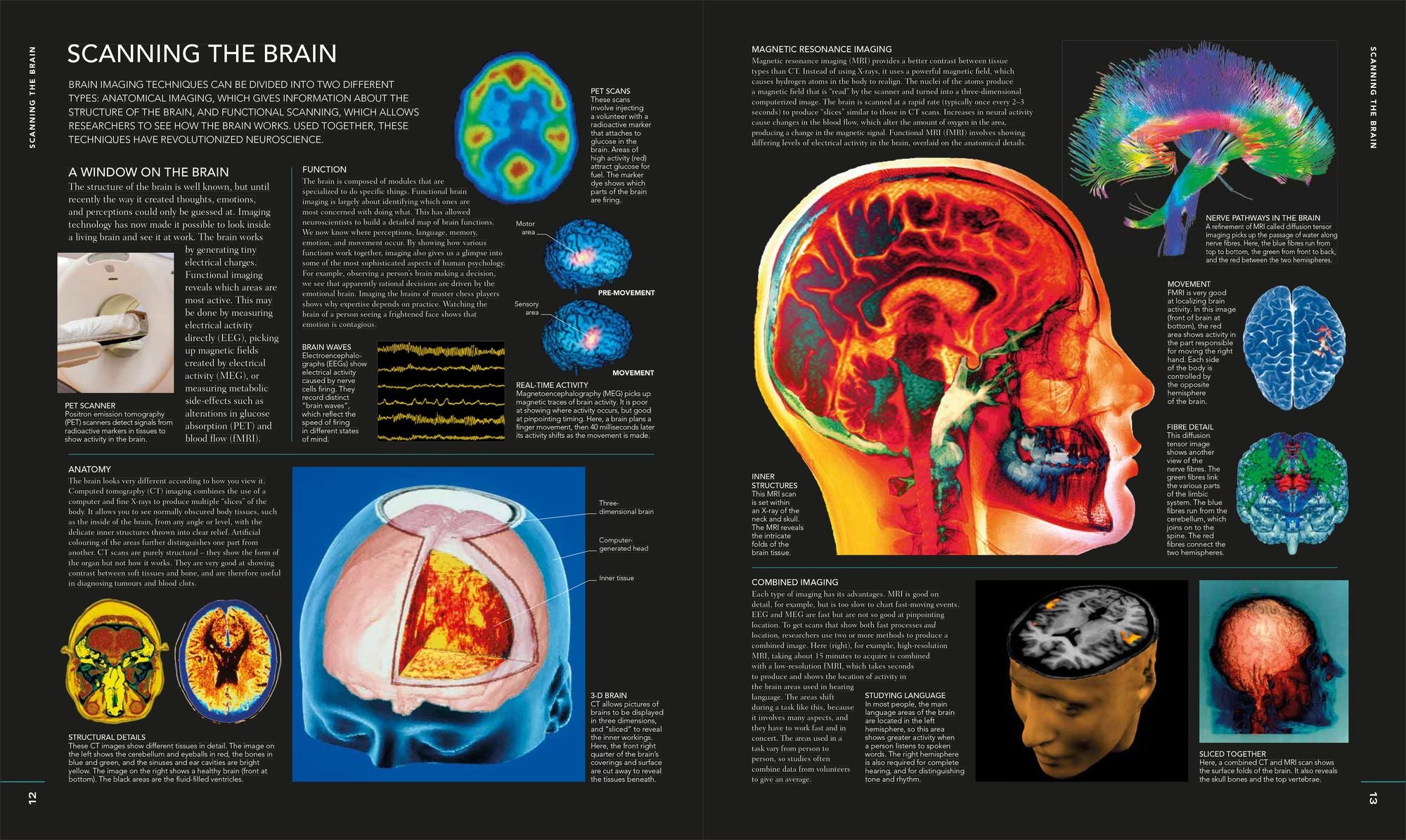 The Human Brain Book: A Visual Guide to the Structure and Function