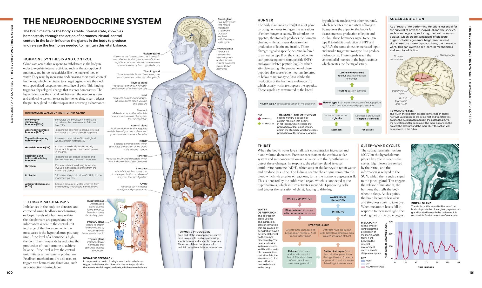 The Human Brain Book: A Visual Guide to the Structure and Function