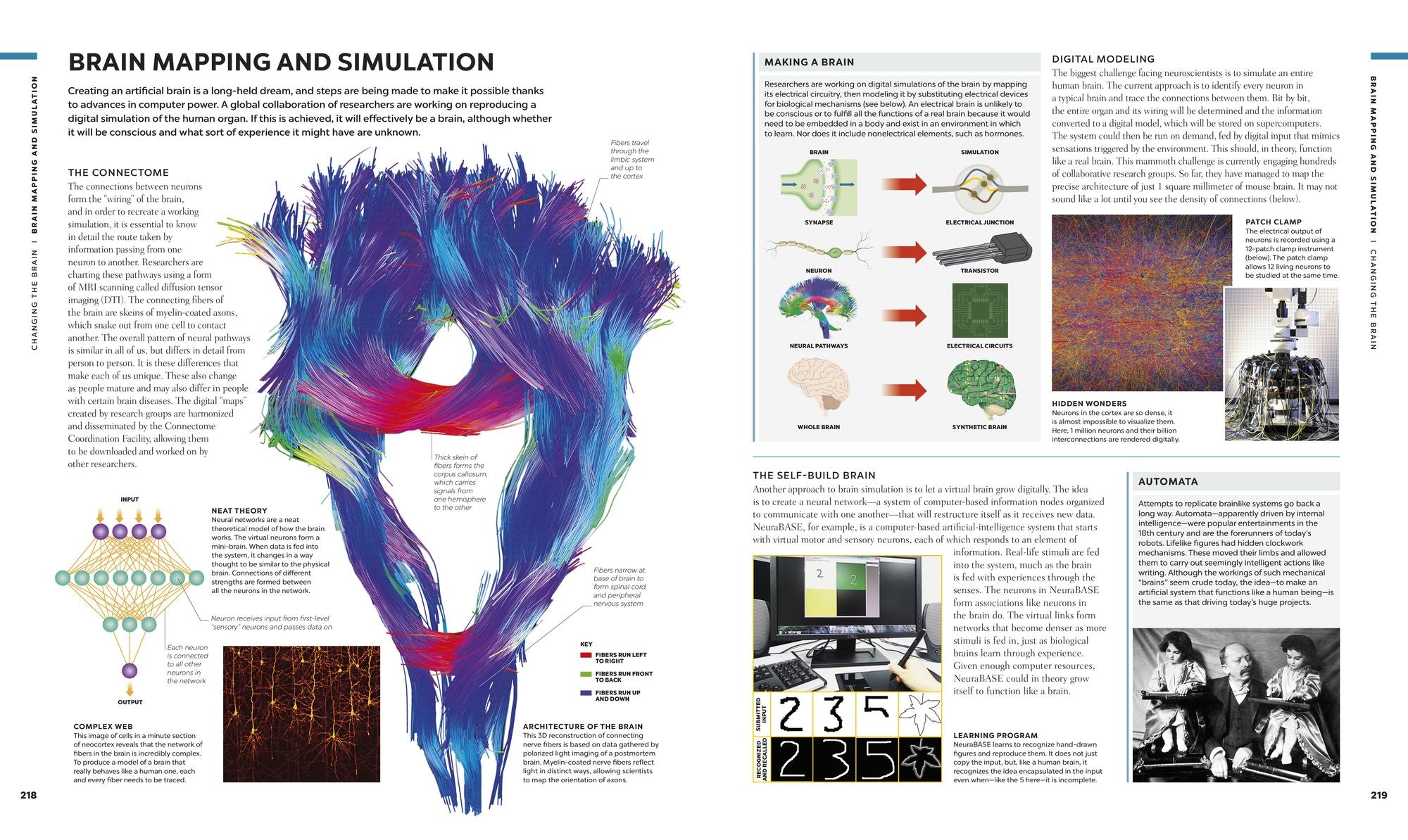 The Human Brain Book: A Visual Guide to the Structure and Function