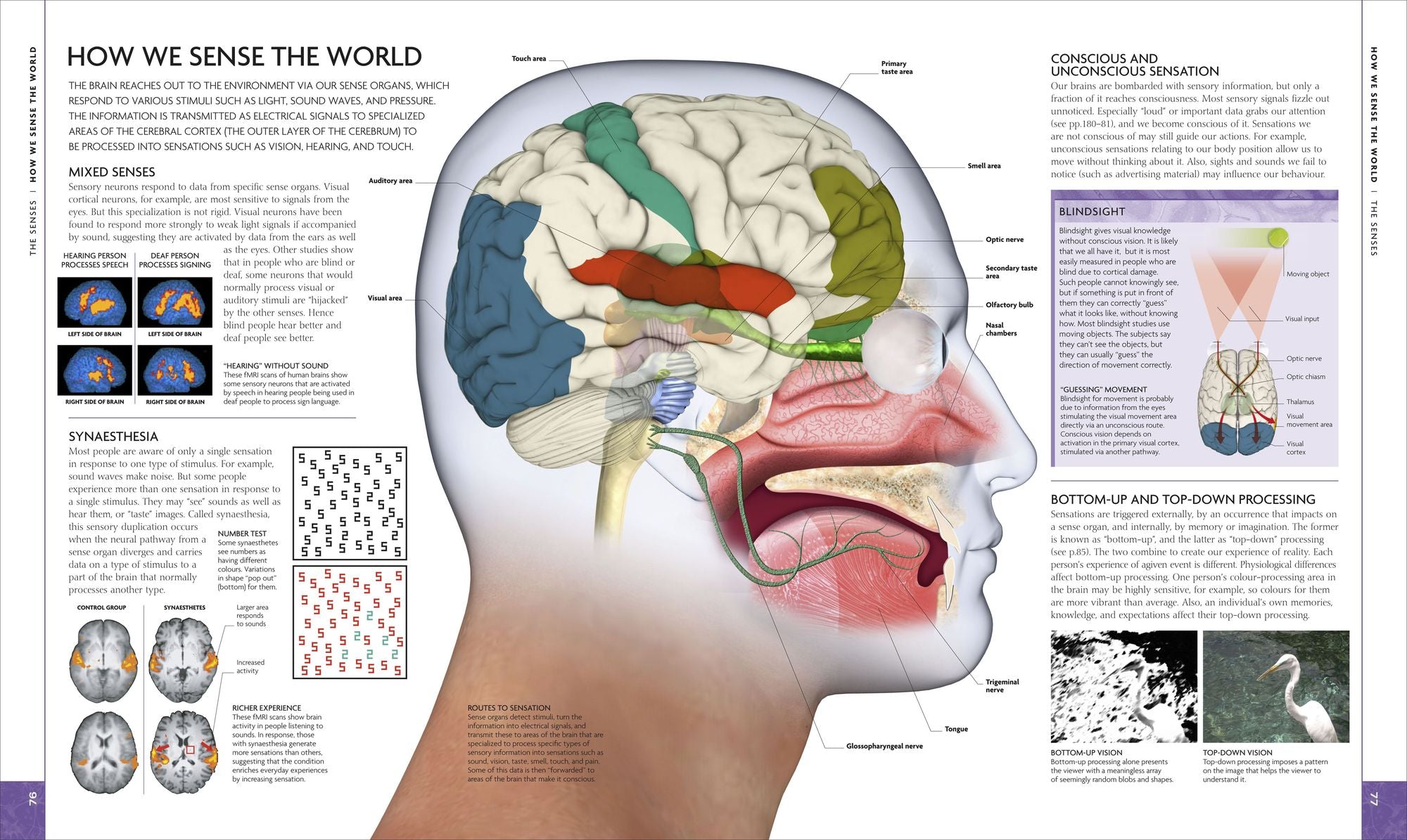 The Human Brain Book: A Visual Guide to the Structure and Function