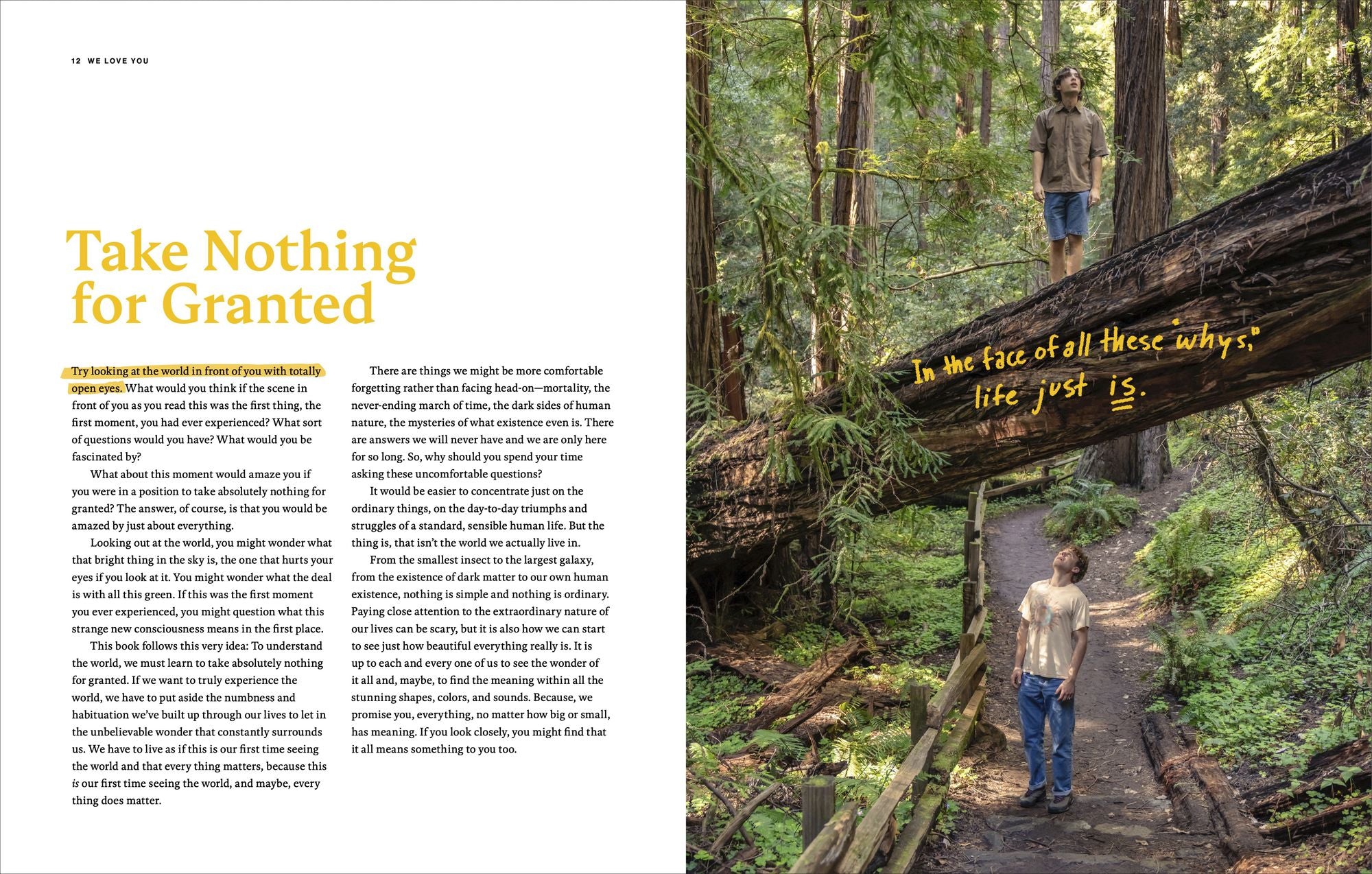 We Love You: An Optimistic Guide to Life on a Rock Floating Through Space
