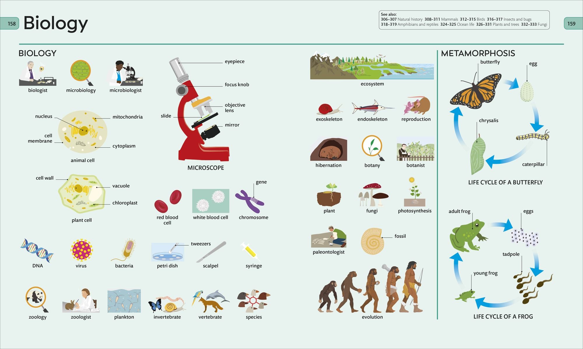 Children's Visual Dictionary
