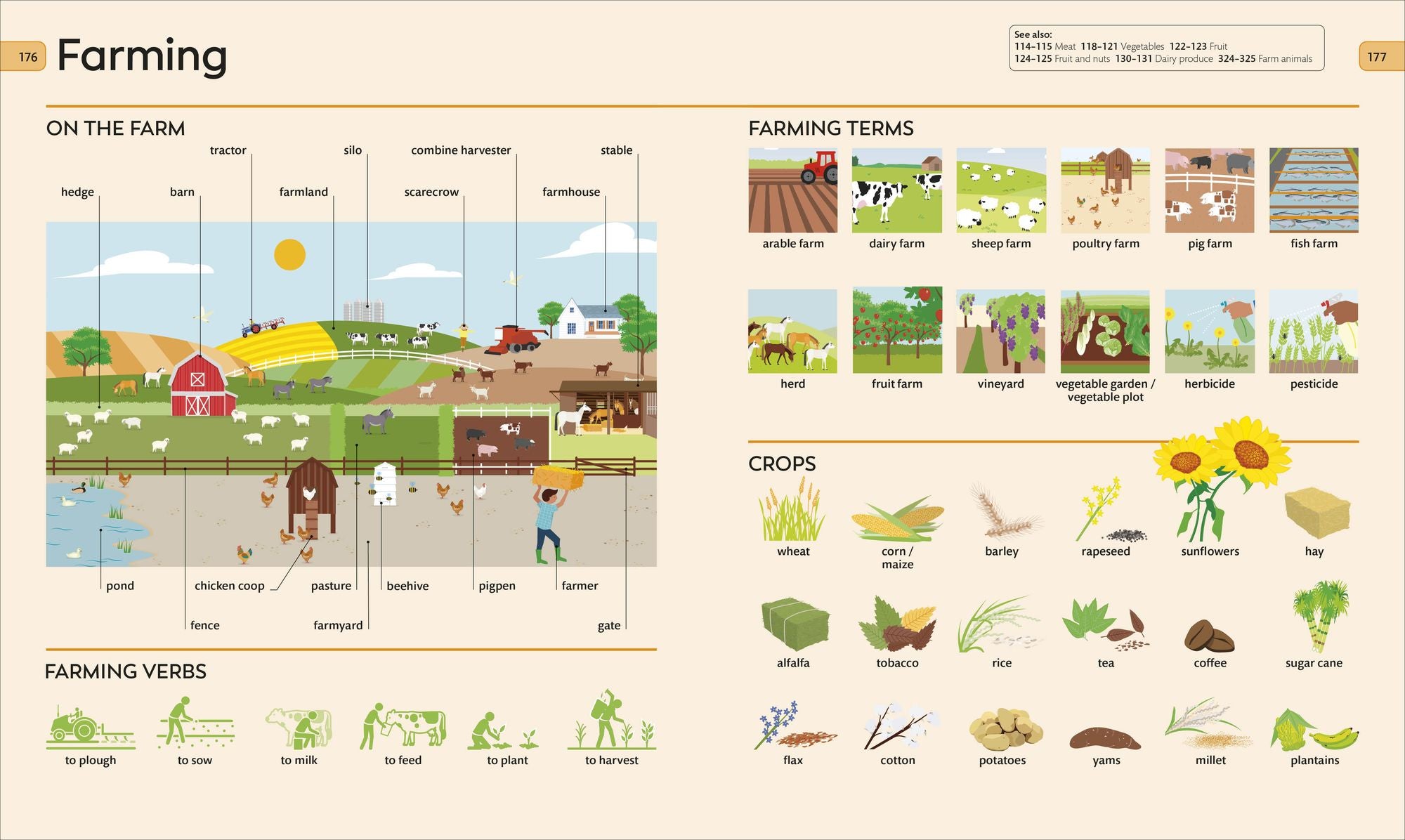Children's Visual Dictionary
