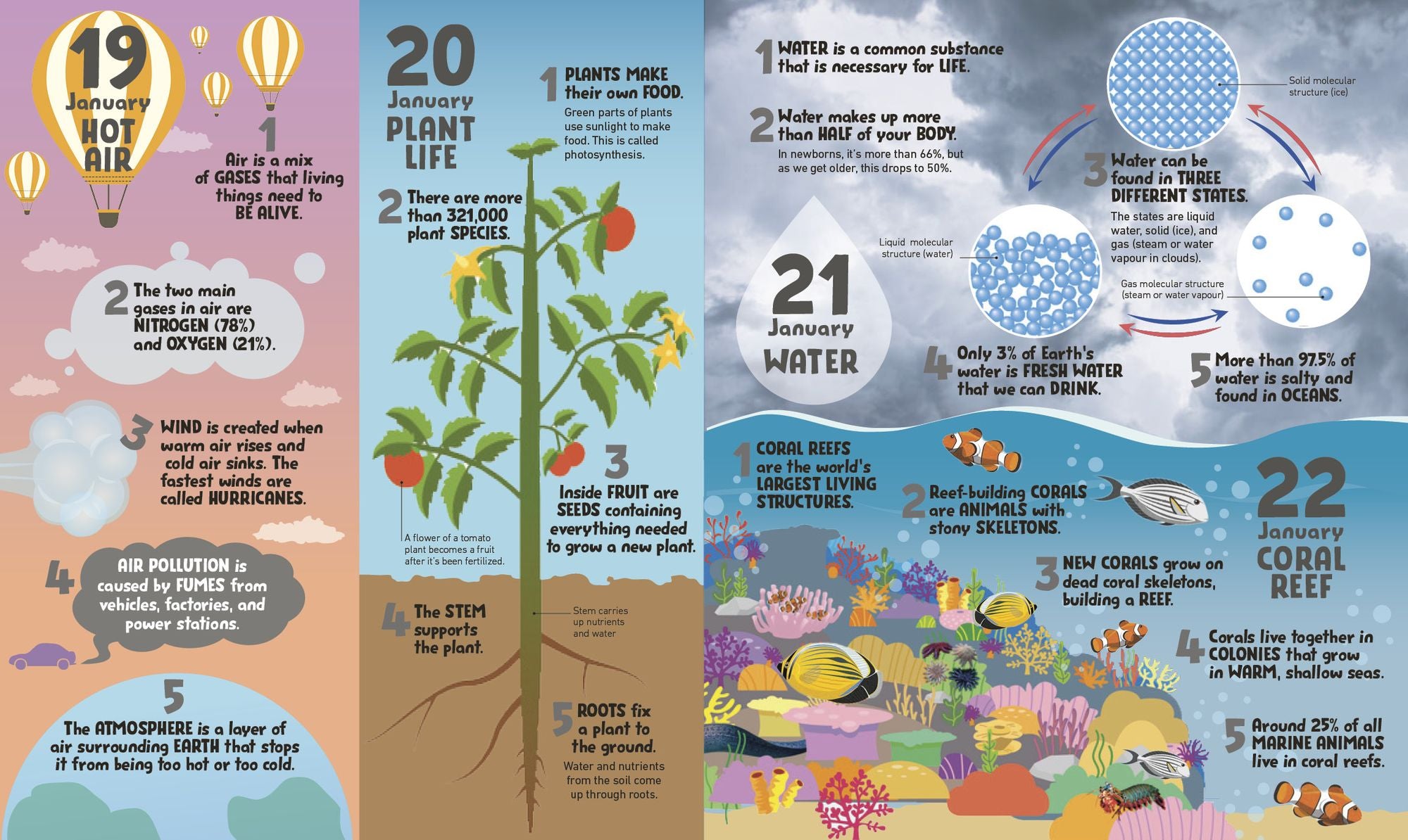 5 Facts a Day Science: A Little Bit of Learning Every Day